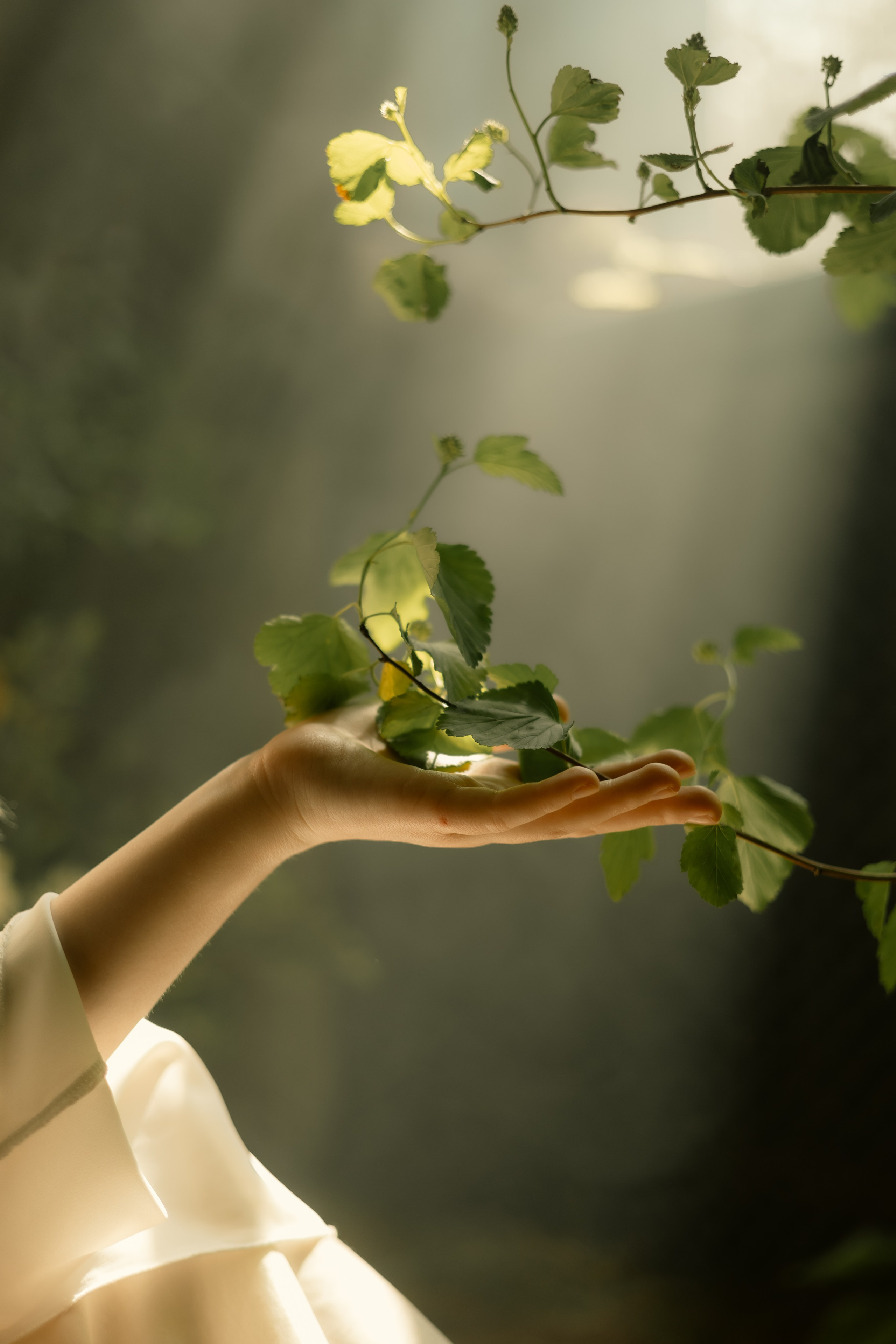 Пташечка. Фотограф в Москве Дарья Гоглева