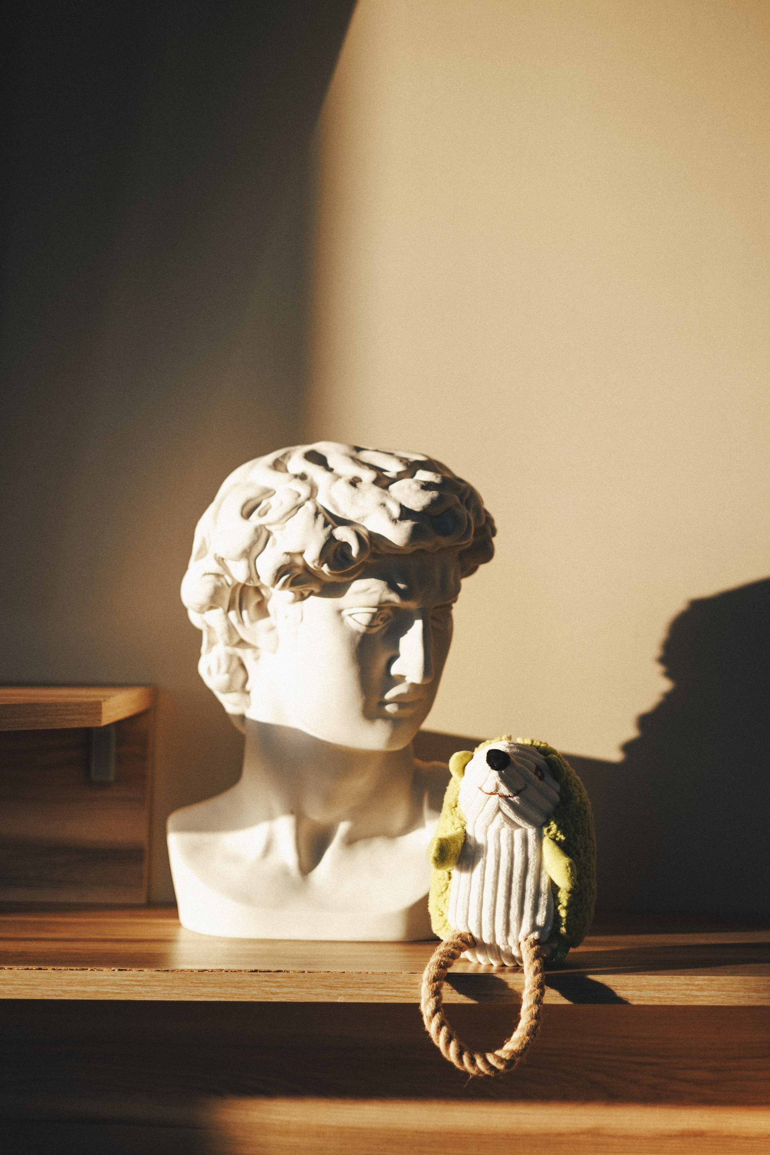 M-Pets. Фотограф анималист Осипчикова Мария