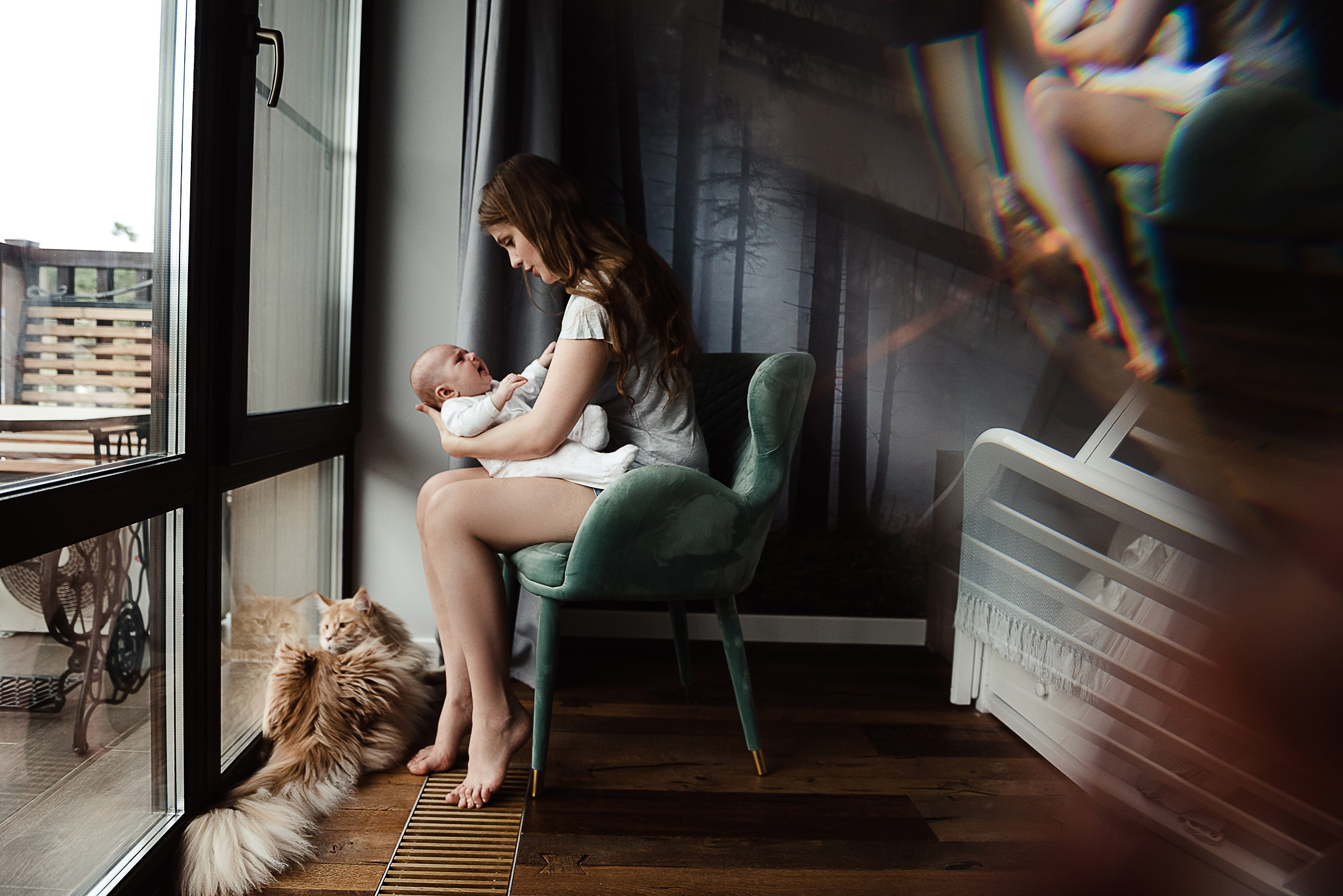 Алена, Виктор, Оливка и Ластик. Семейный Фотограф в Москве Ирина Хохлова