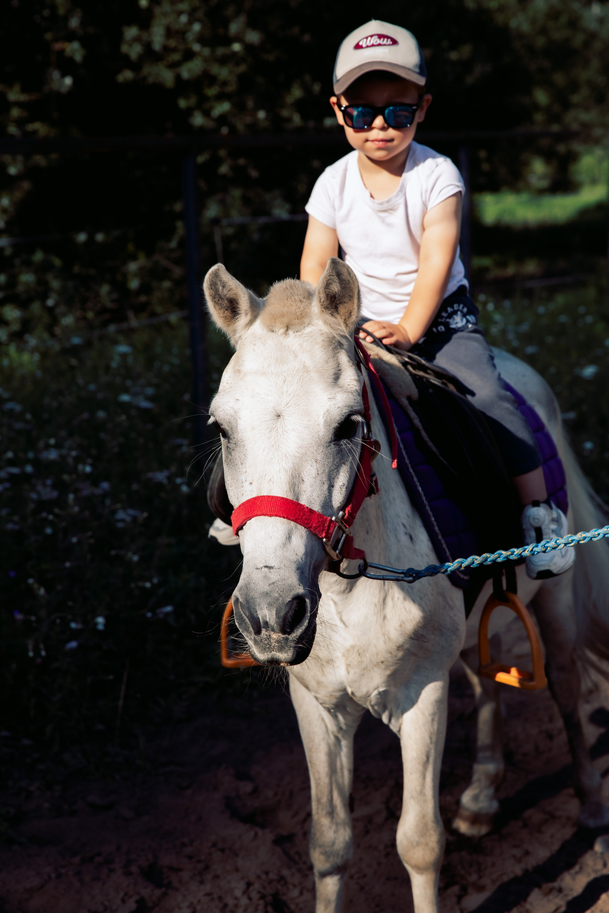 Прогулка на пони. Семейный и детский фотограф. Москва. Пронина Тома
