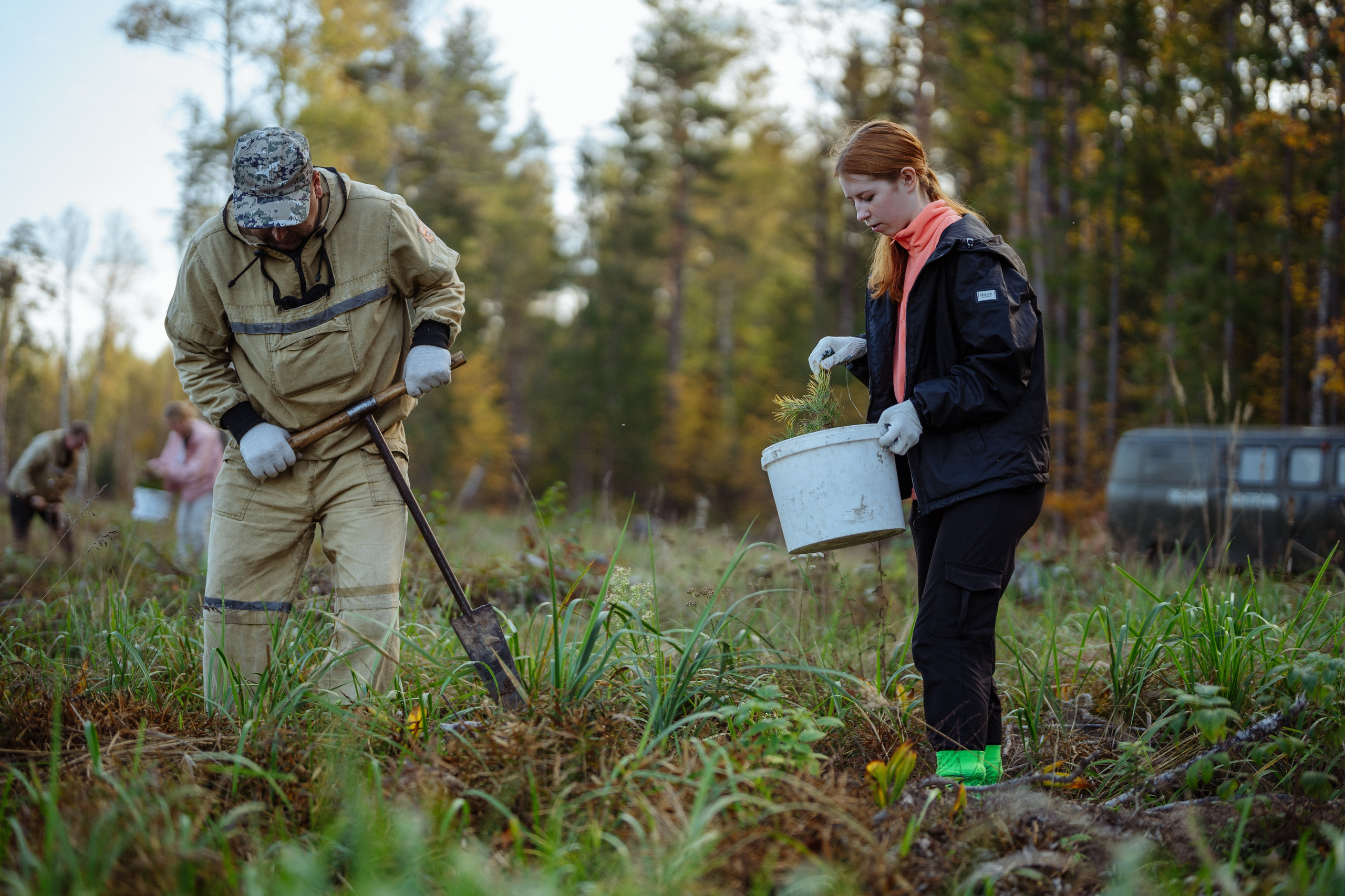 СБЕР · ЭКА · Посадка сеянцев. Владимир Вершинин, тот самый свадебный видеограф