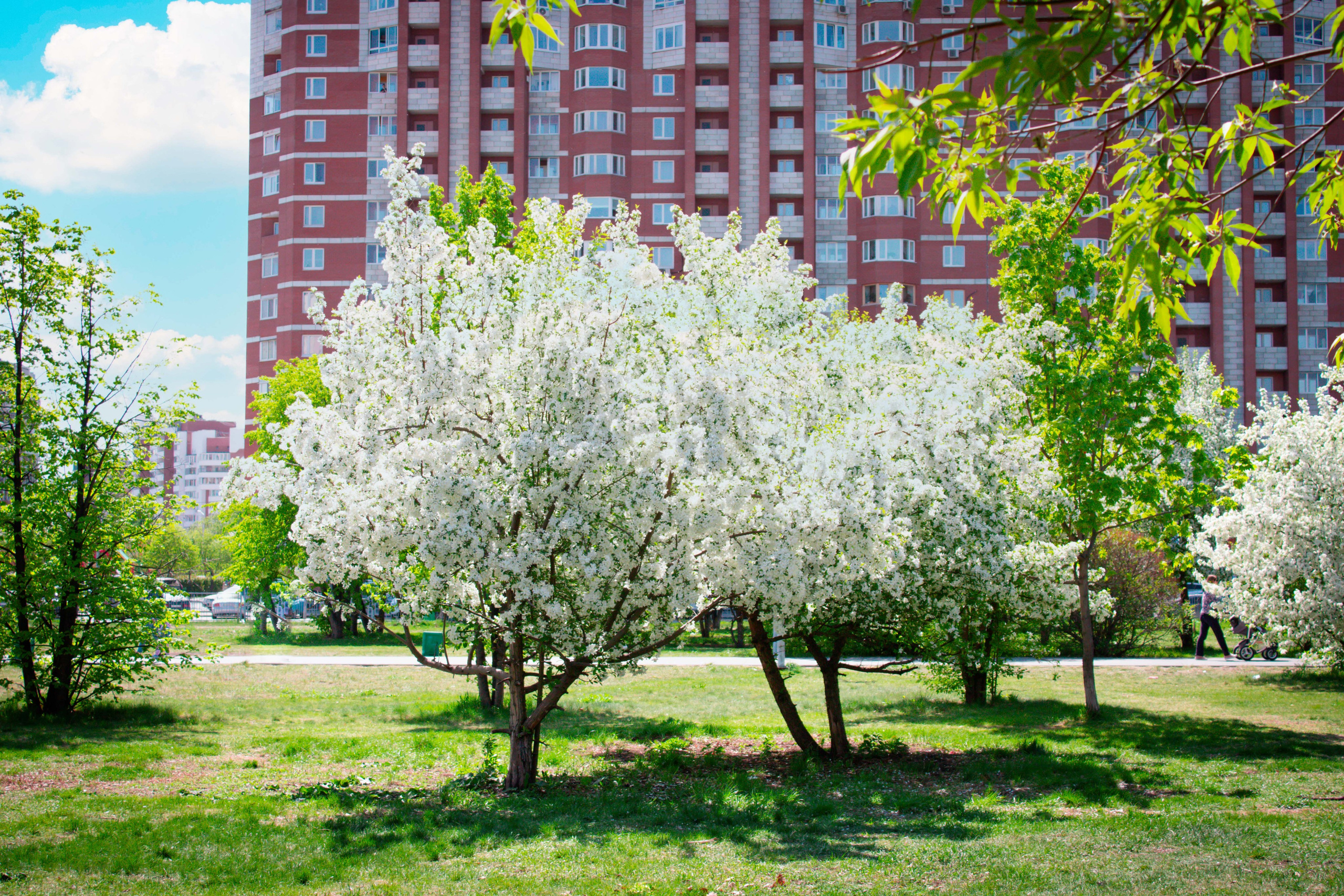 Вдохновение. Бутакова Елена фотограф в Екатеринбурге