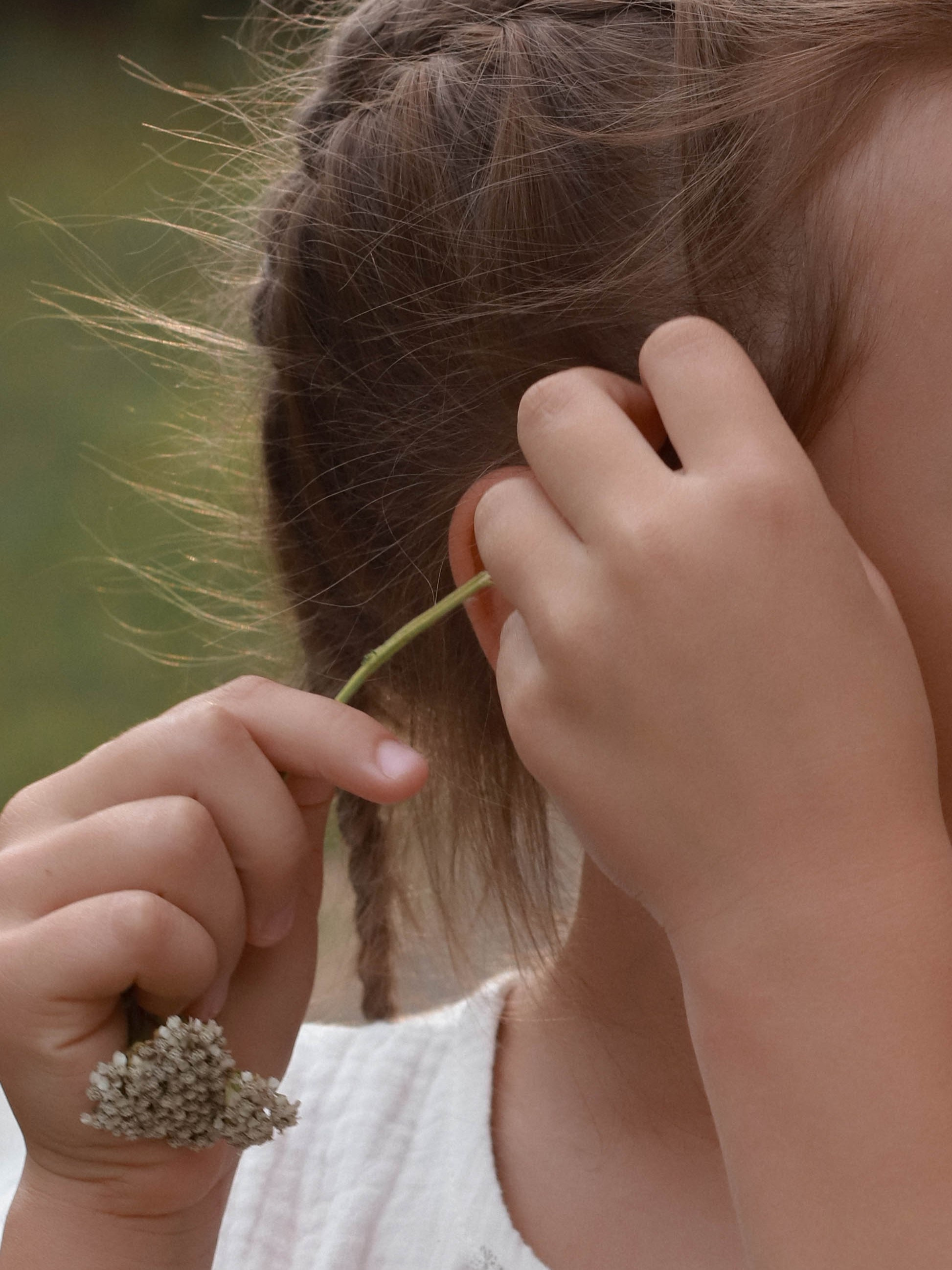 Сосновая Роща. Фотограф Анна Никитина | Йошкар-Ола