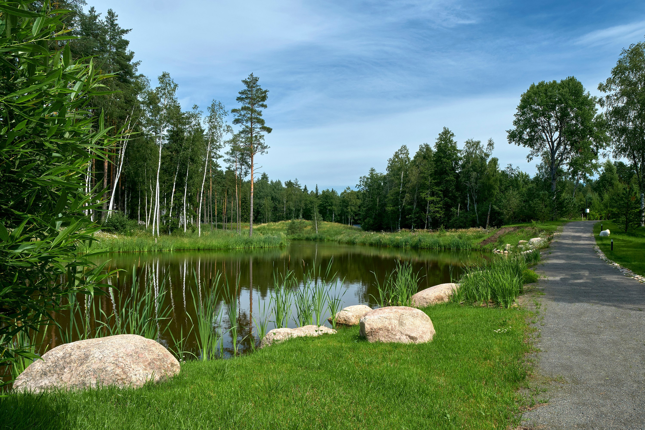 Ландшафтный и интерьерный фотограф Наталья Соловьева. Фотосъемка озеленения территории в КП Репинская Усадьба-4 для ландшафтной студии Аквилегия | interioto