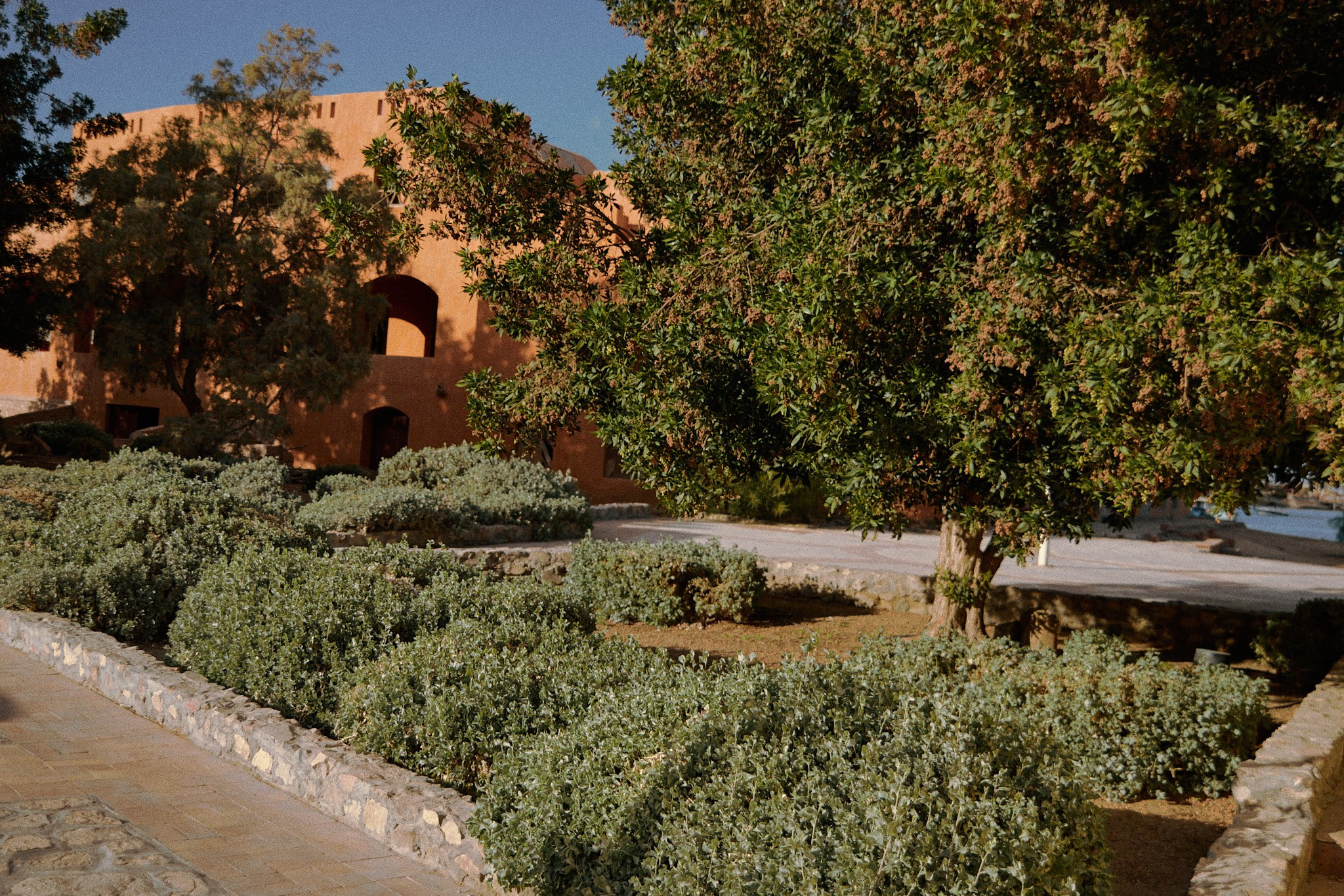 Улица горизонтальная. Jorgis — фотограф в Хургаде / обучение фотографии