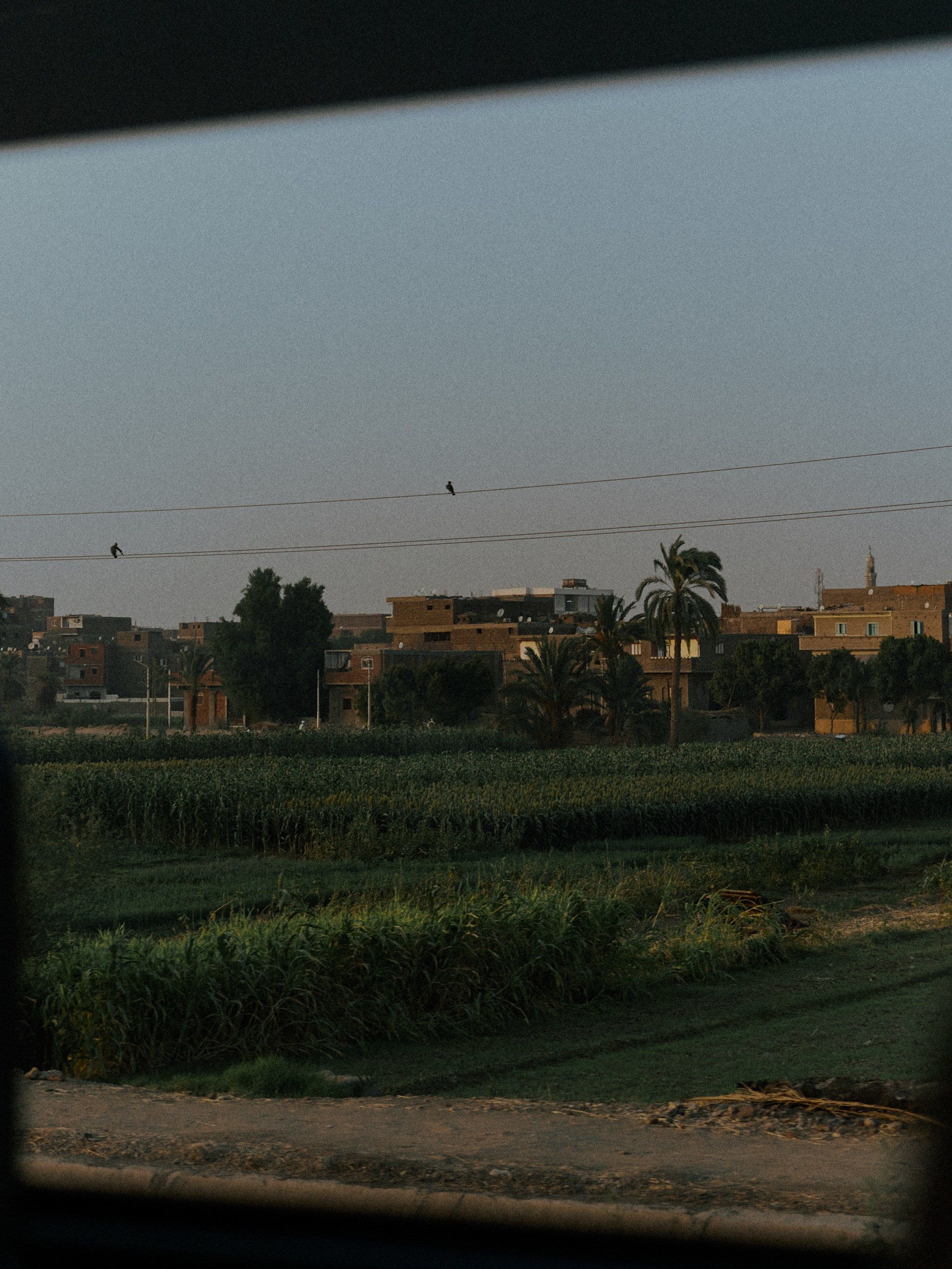 Другое 2. Jorgis Talè — photographer, kind person, teacher of arts and other mag