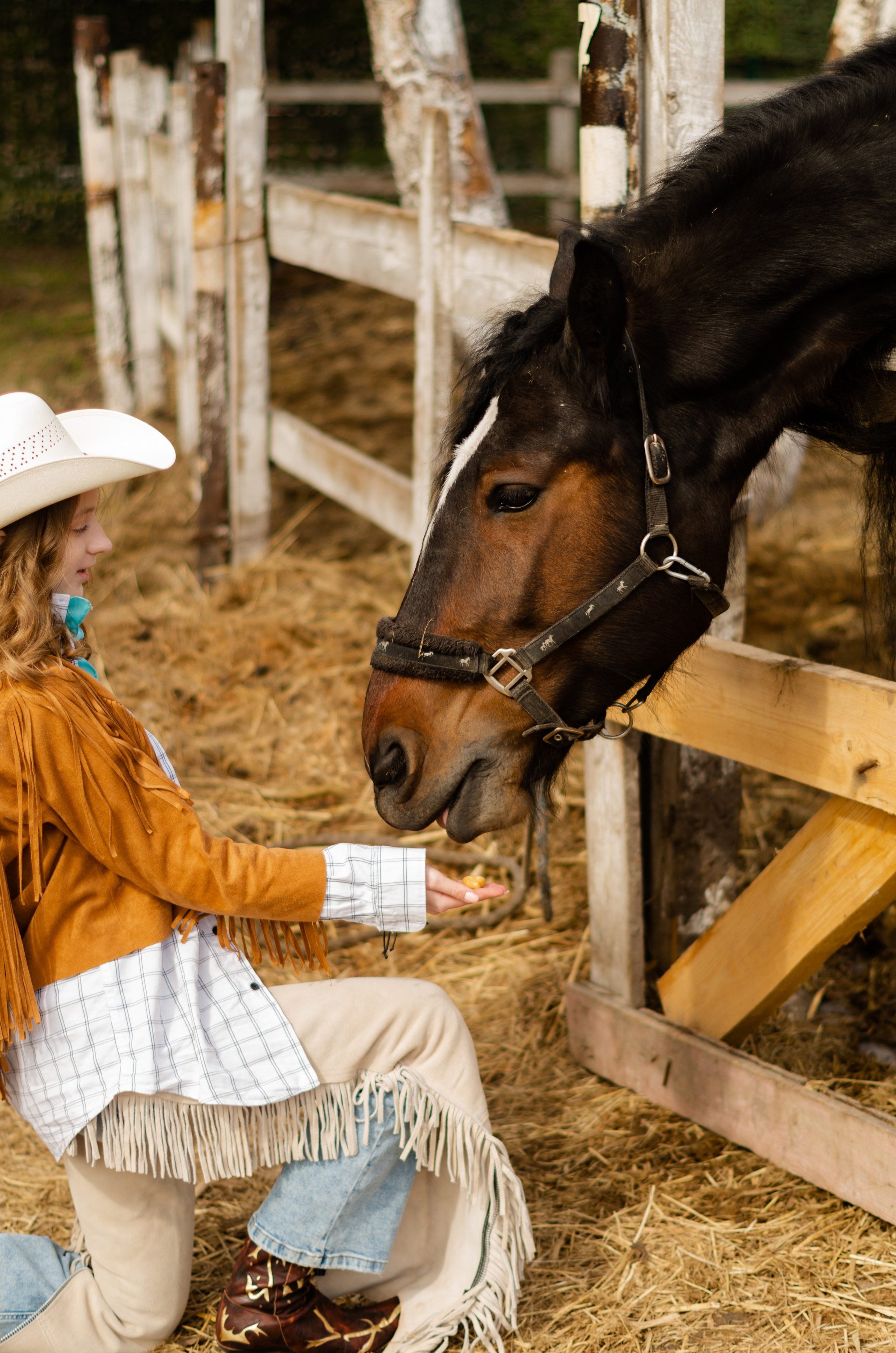 Ковбойская девчонка. Фотограф Марина Доглядная Челябинск фотосессии с лошадьми, мотоциклами