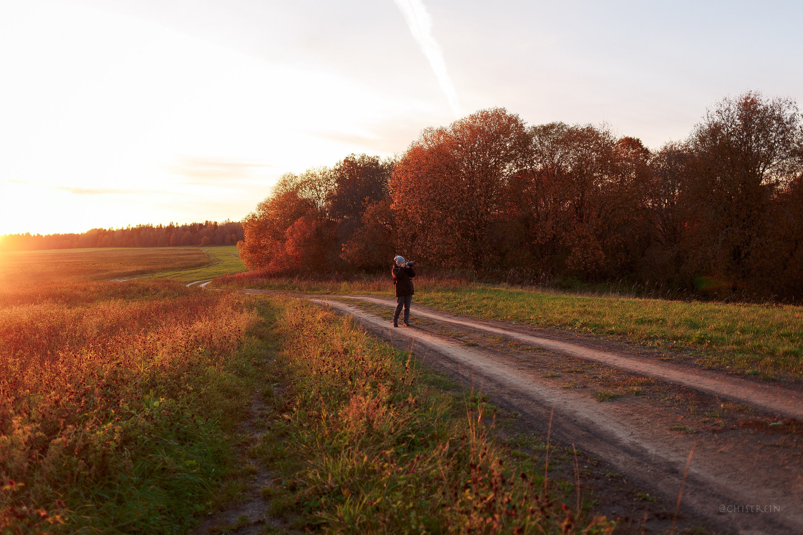 Октябрьский закат в полях. Алина и Лео. Фотограф-анималист Наталия Чистюхина в г. Сосновый Бор и ЛО