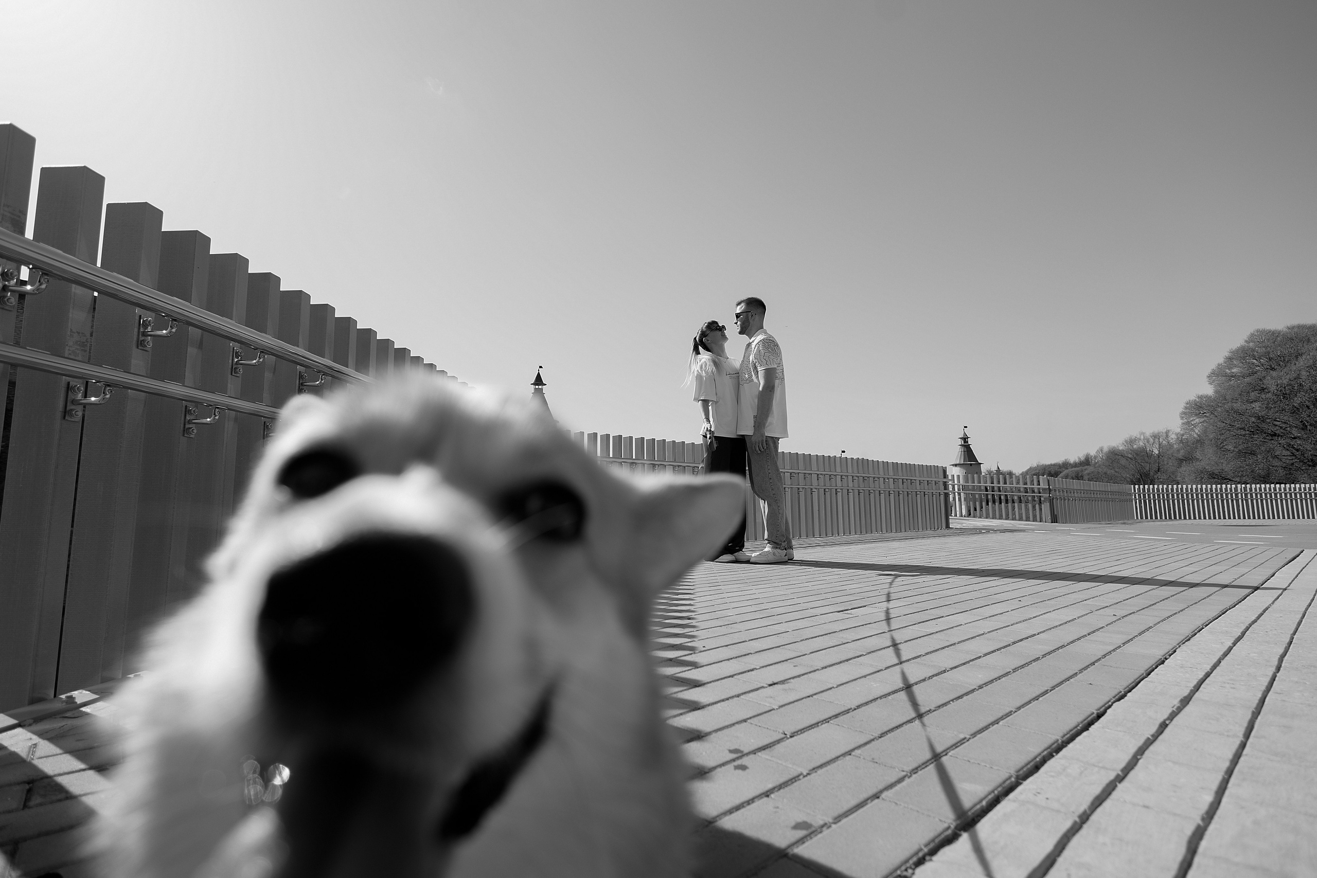 С коржиком Капой. Свадебный фотограф в Пскове и Санкт-Петербурге | Анна Голикова