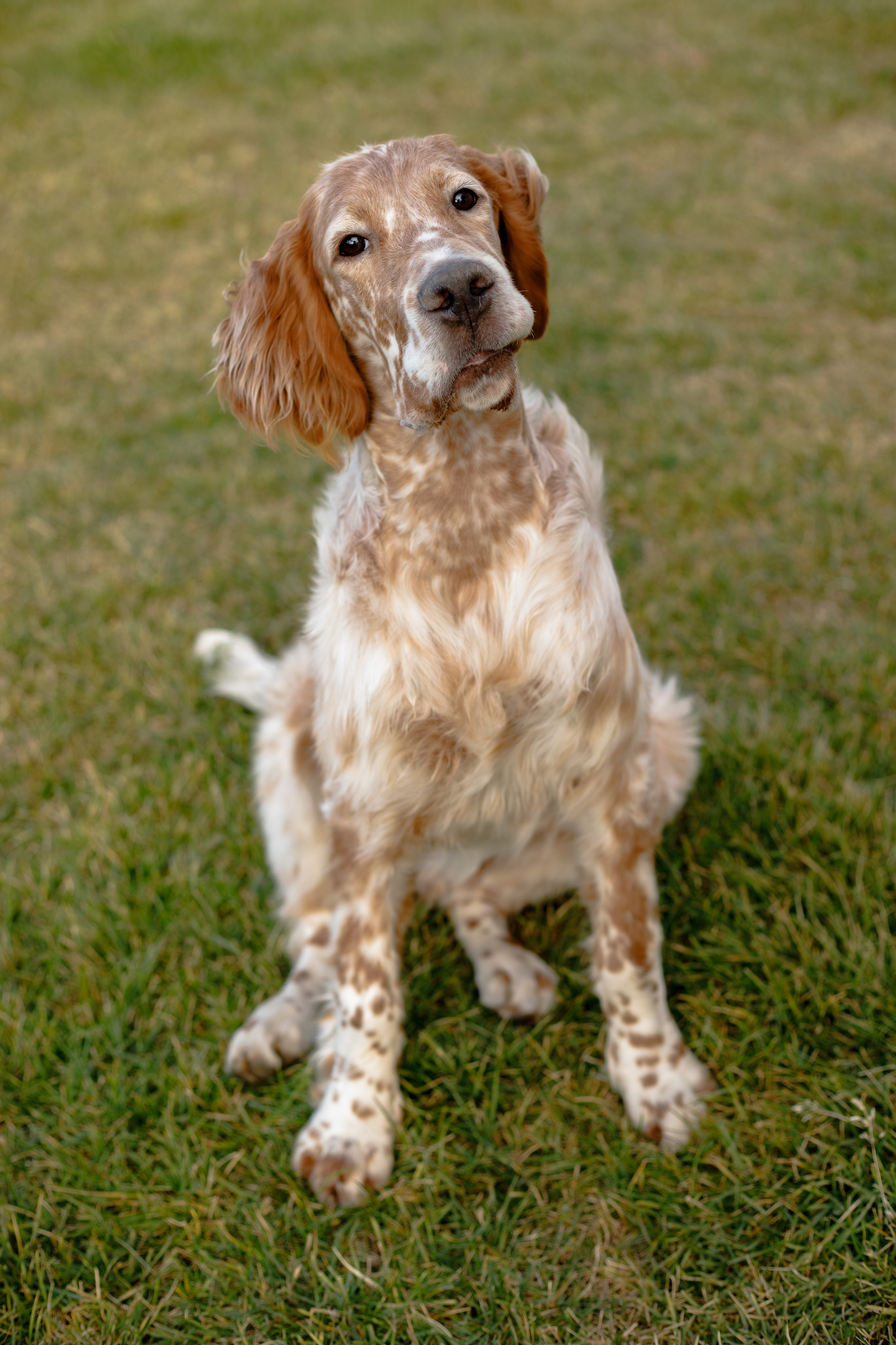 Андрей и Милан. Фотограф Екатерина Козловская
