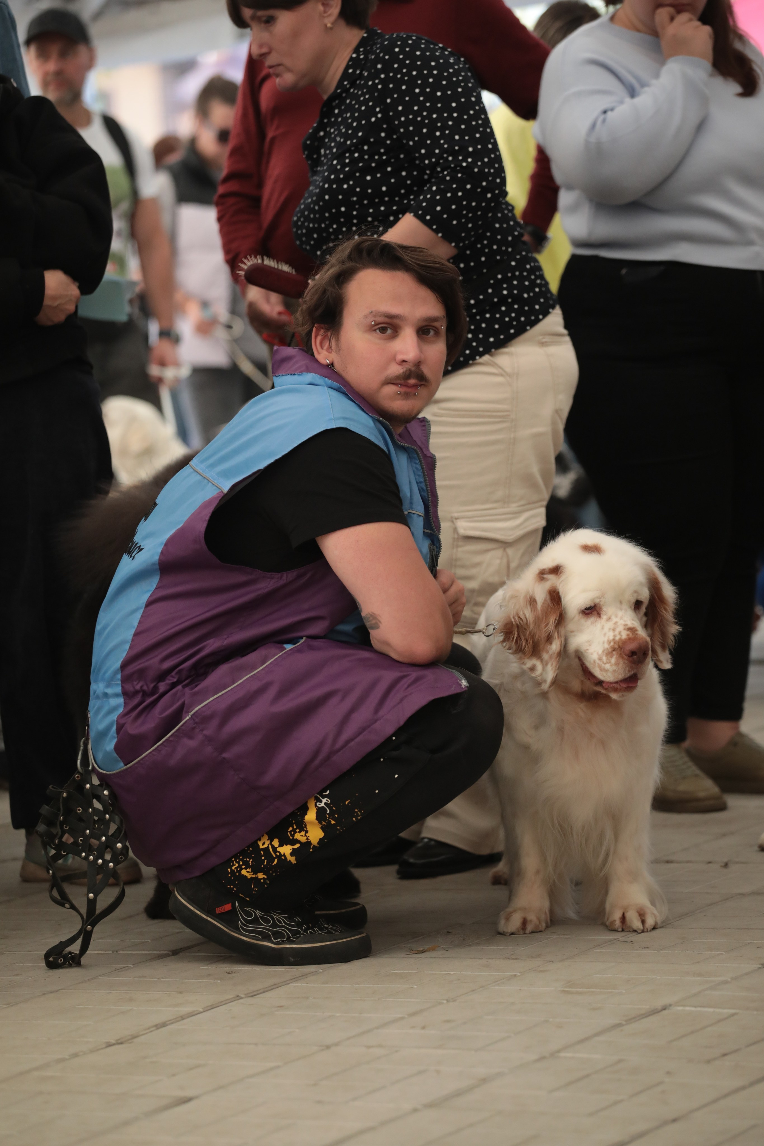 Выставка собак РКФ. Фотограф Екатерина Козловская