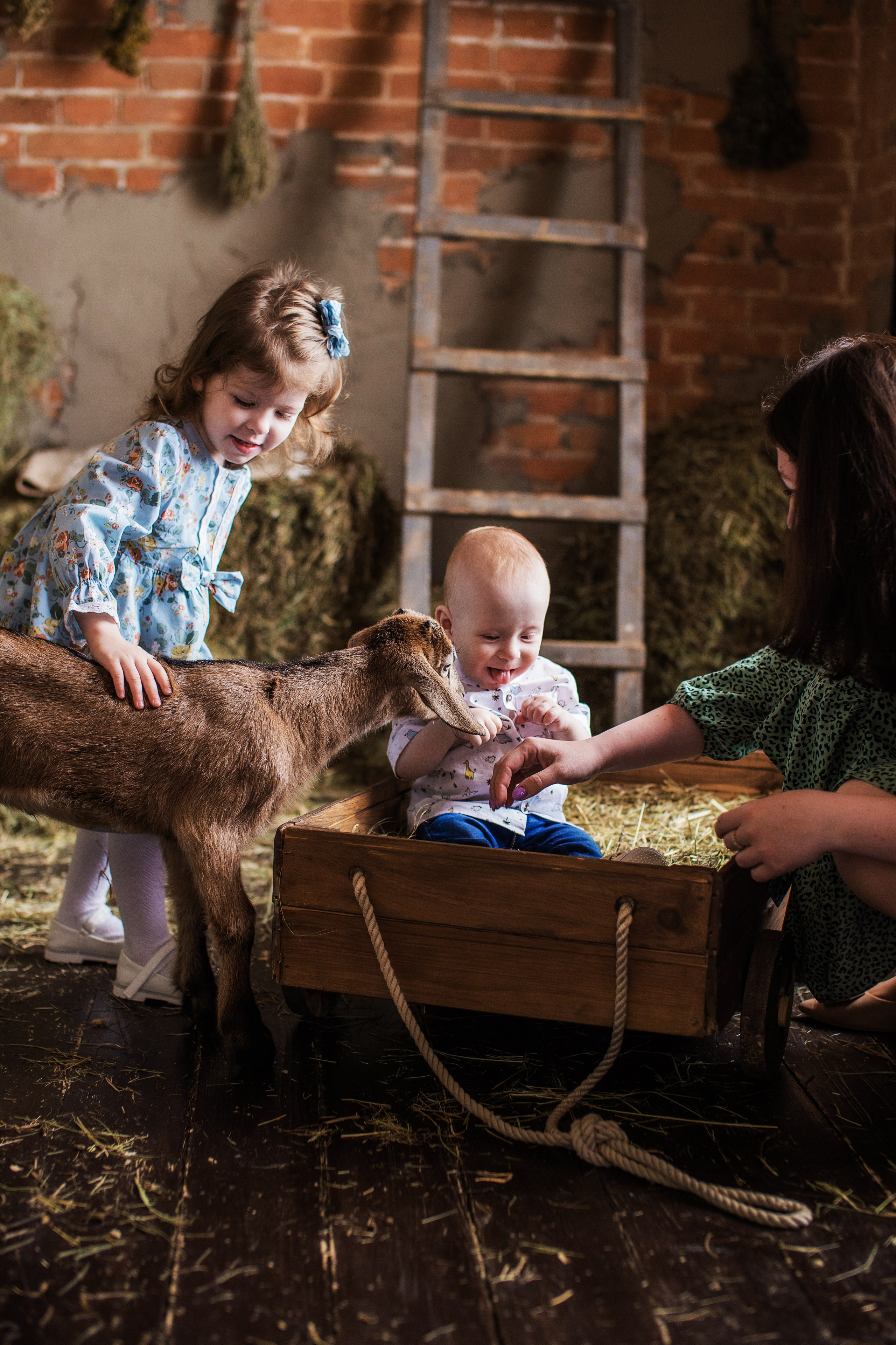 Дети и животные…самый милый альбом. Семейный фотограф в Саратове