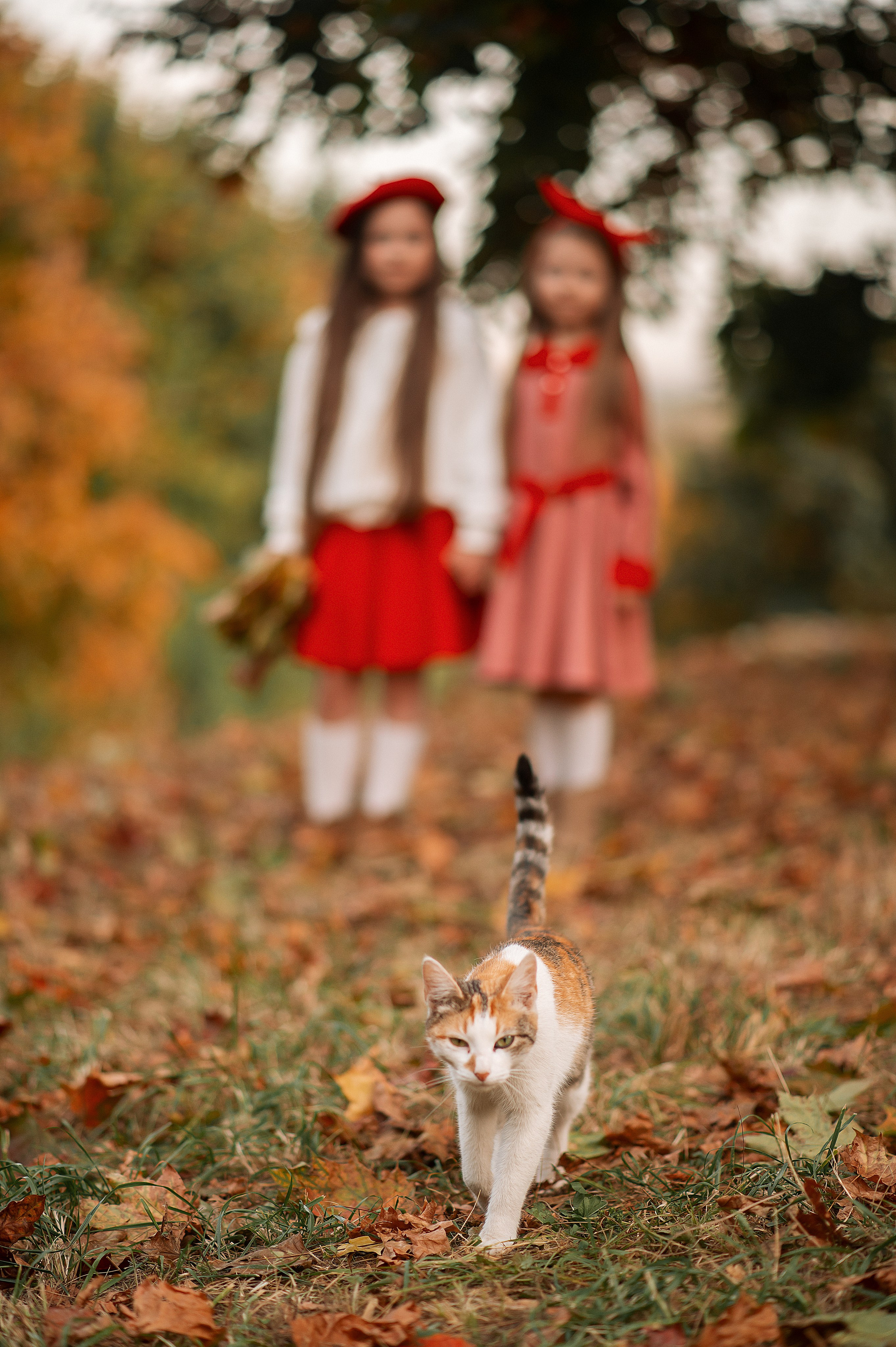 Осенняя съемка. Толкачева Ольга — детская, женская, семейная фотосъемка