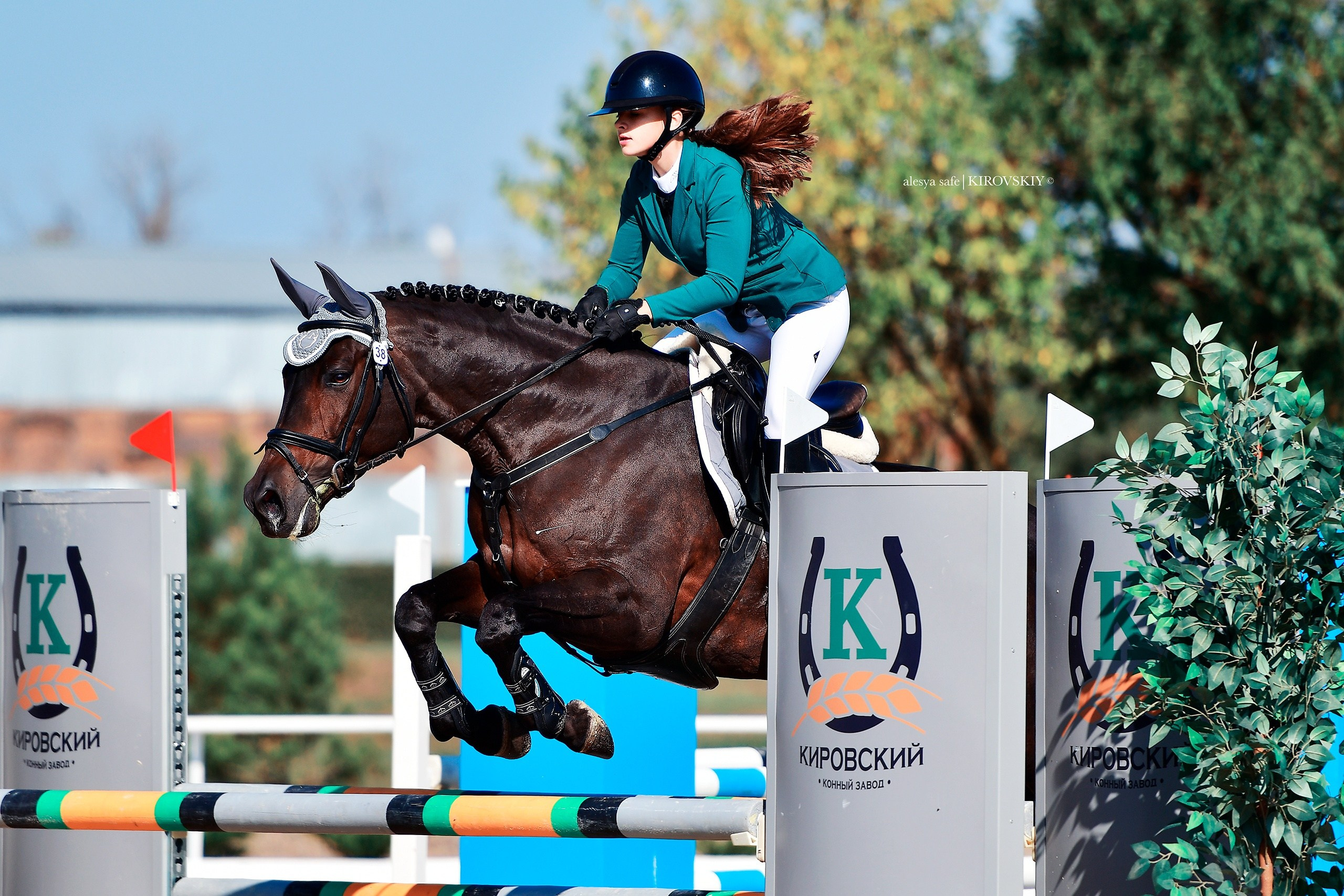 Кировский конный завод. Конный фотограф Alesya Safe
