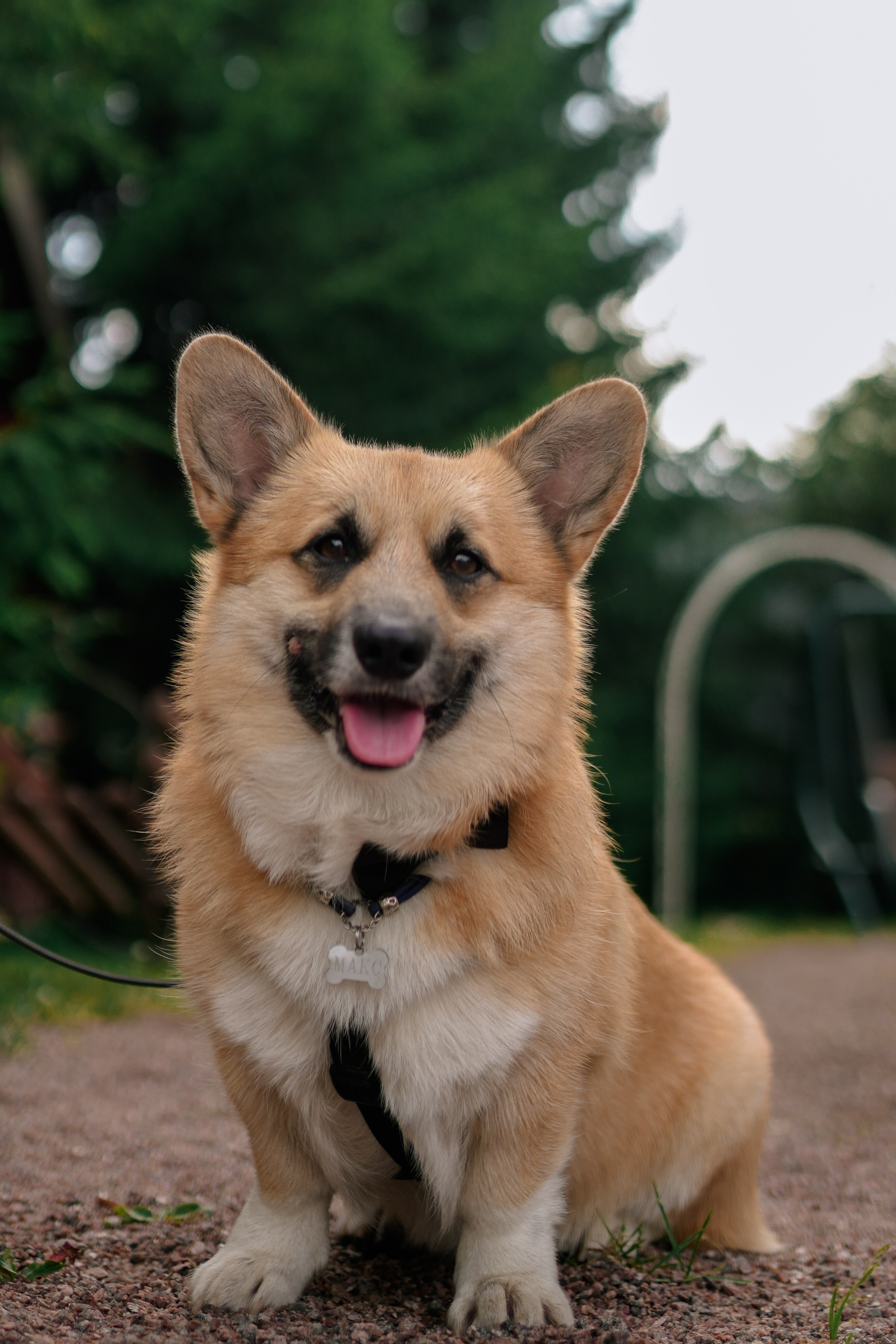 DMITRIY&MARIYA. Свадебный фотограф в Санкт-Петербурге Харичева Анастасия