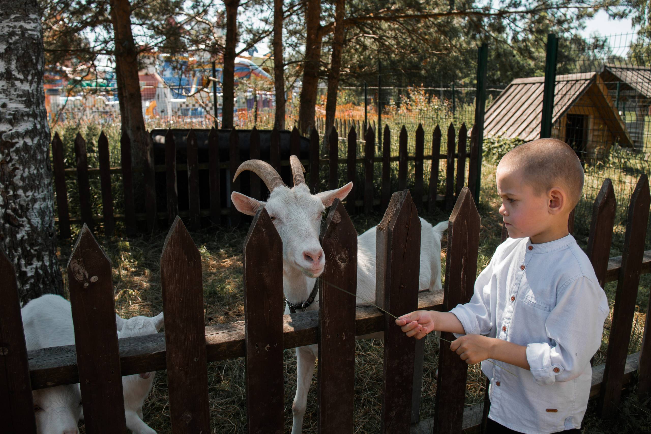 Семейная съёмка в Петергофе. Свадебный, семейный и контент фотограф в Санкт- Петербурге Елена Грие
