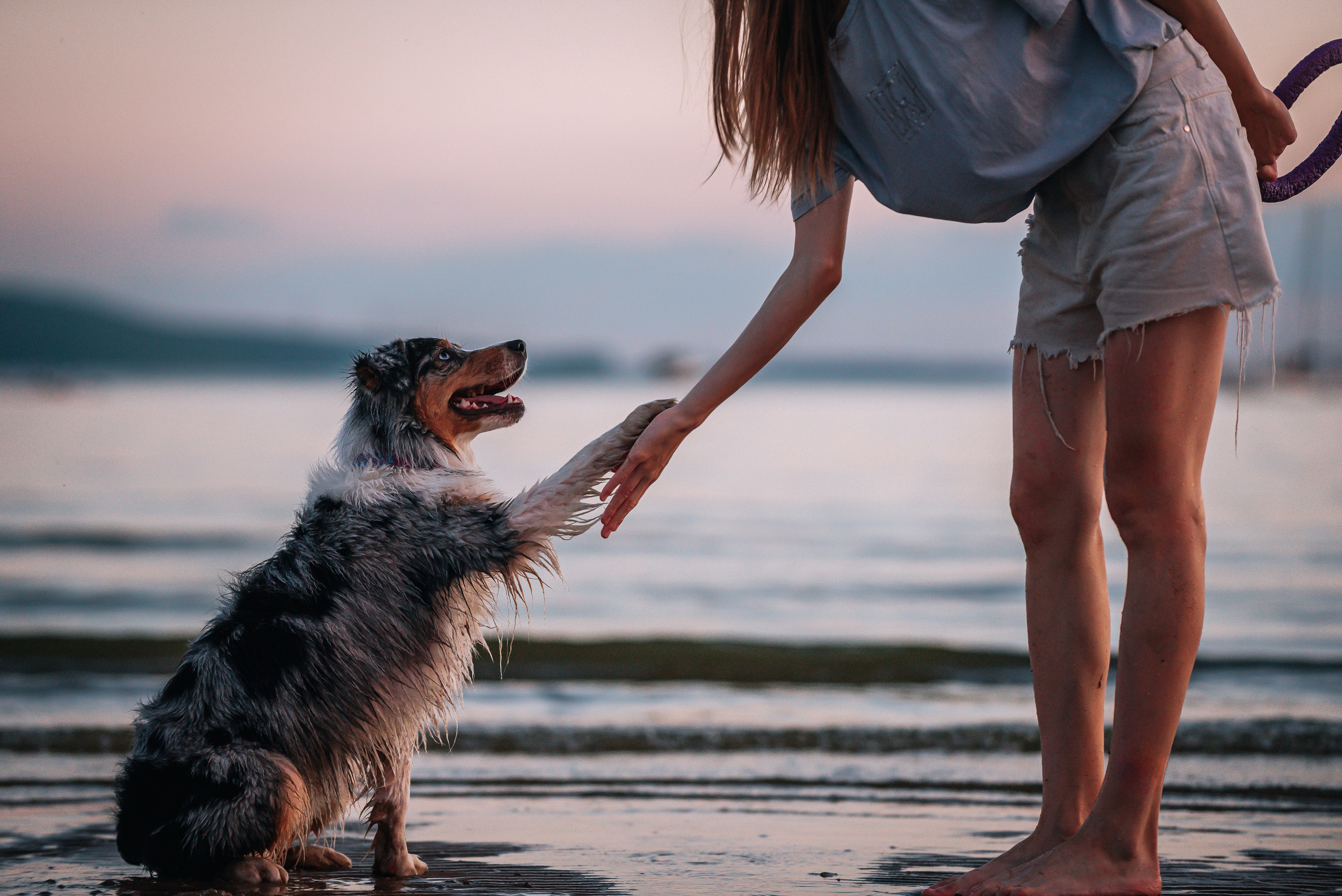 No Bad Days. Главная