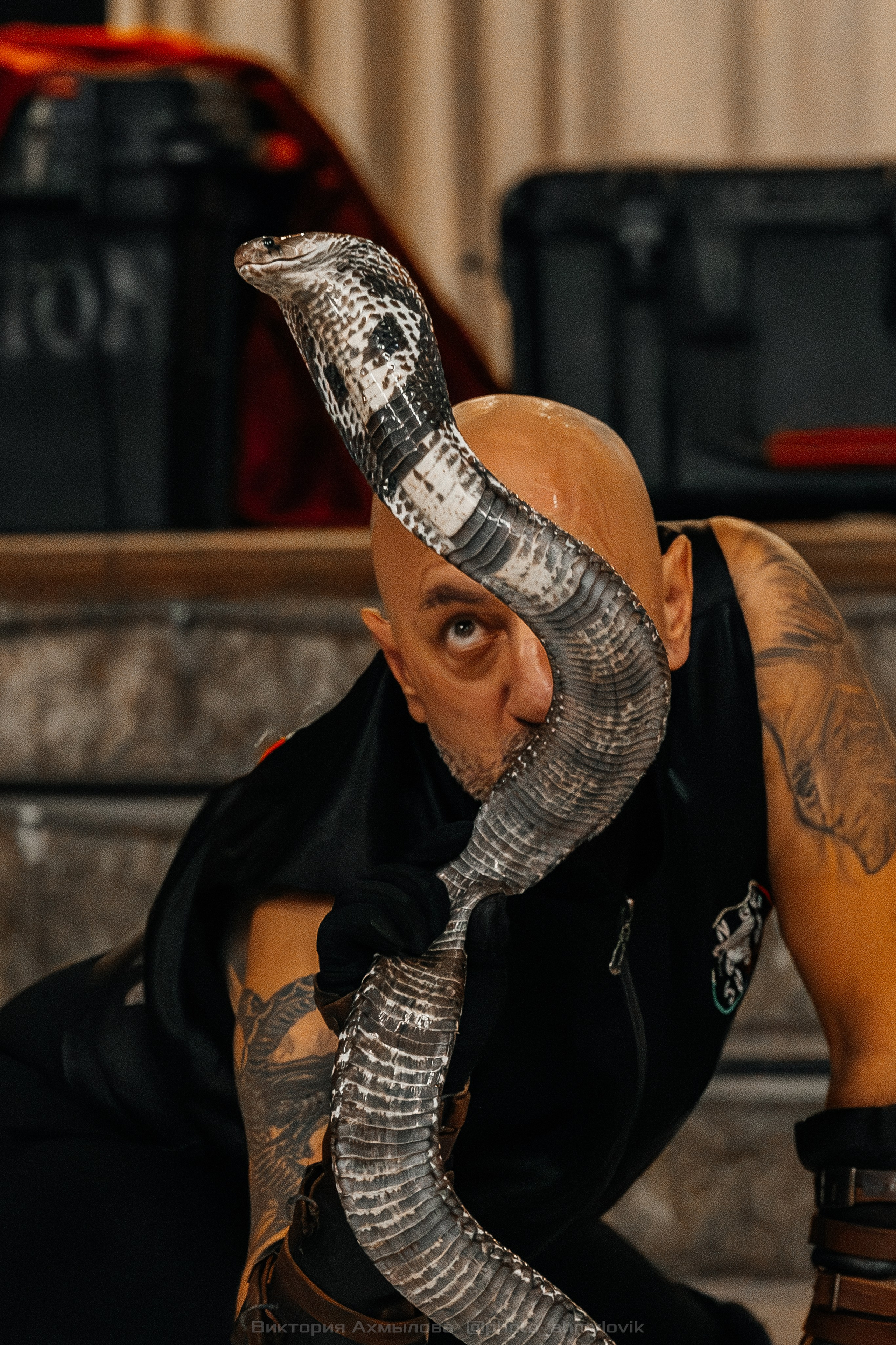 04.10.2025 День рождения FMC Wings 26 лет. Виктория Ахмылова. Фотограф в Москве