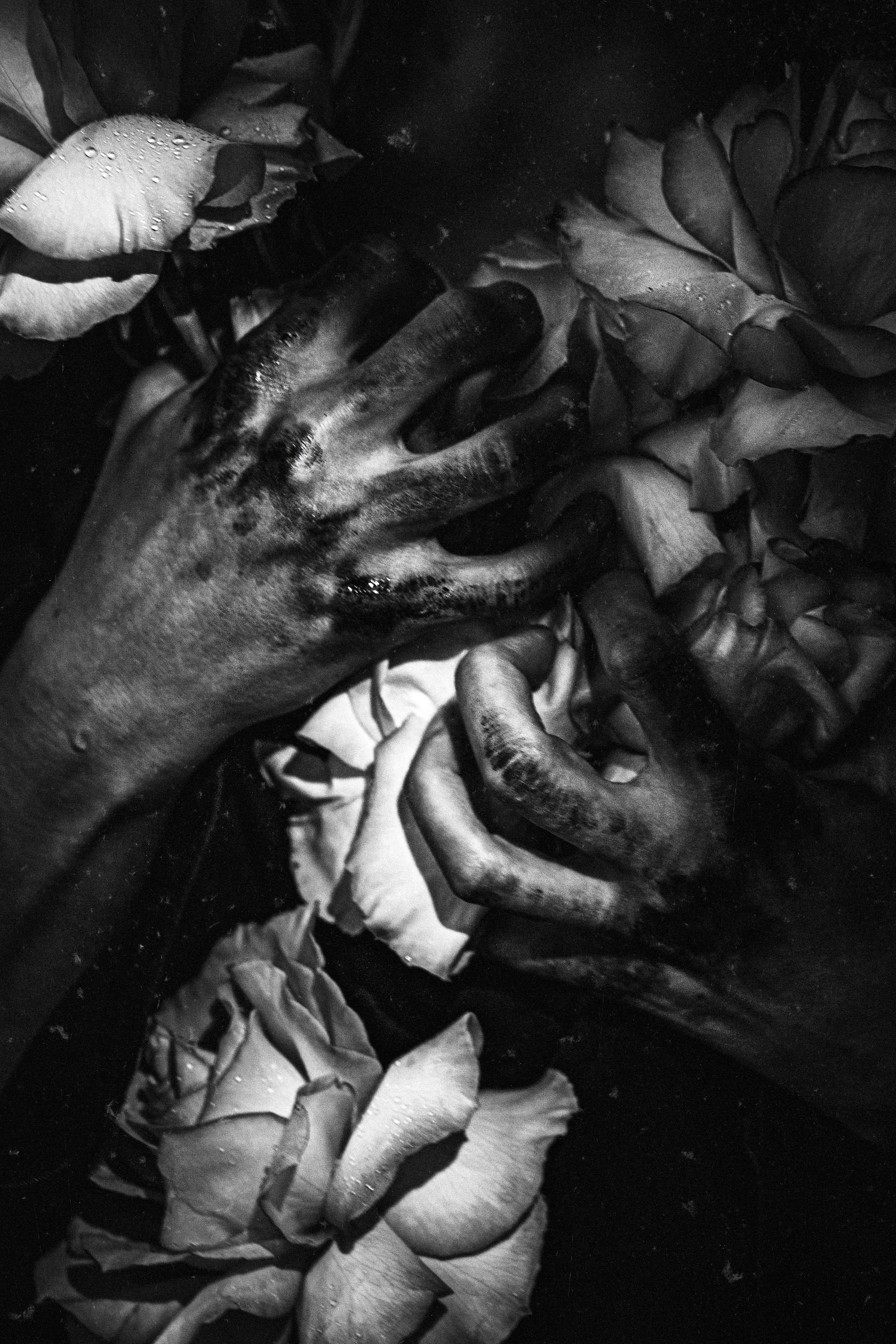 Сила и красота. Художественный фотограф СПБ, Дубай