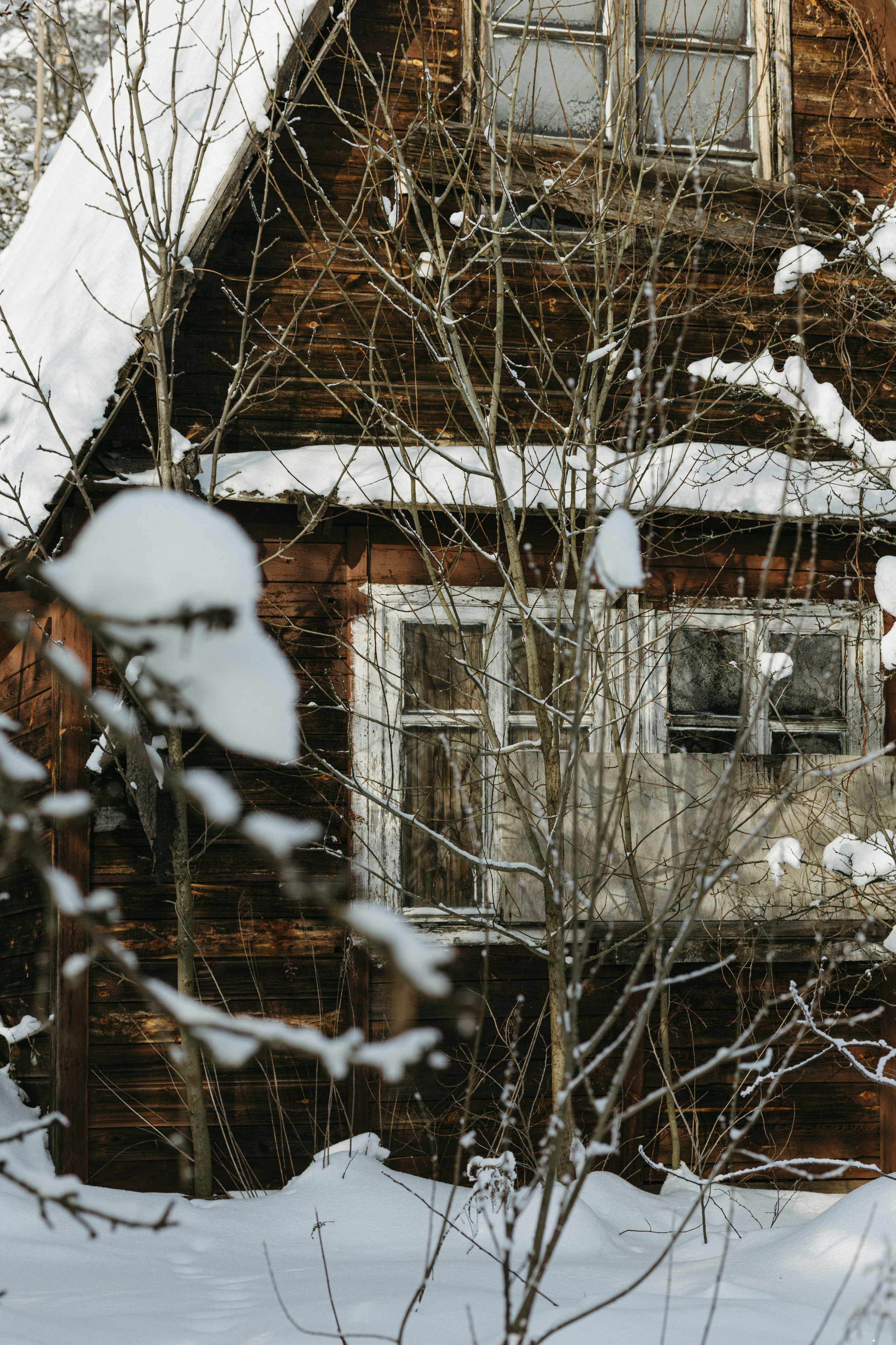 Зимний и летний сад. Фотограф Эльмира Лин