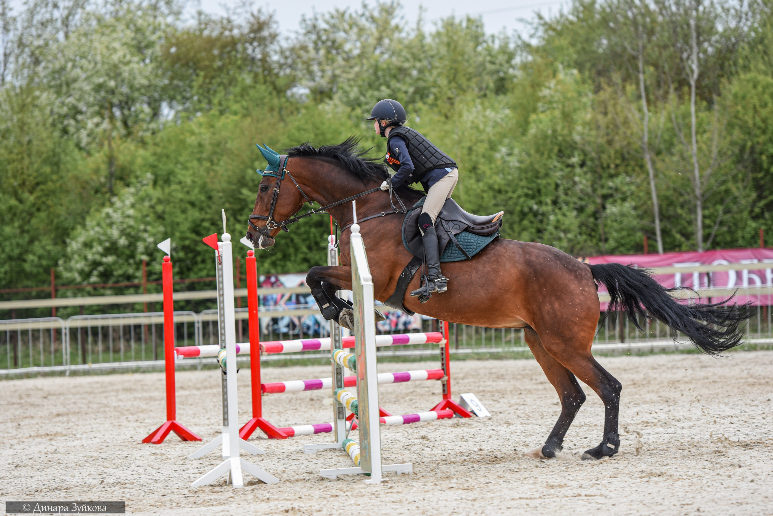 Кони. Мотофотограф в Нижнем Новгороде Динара Зуйкова