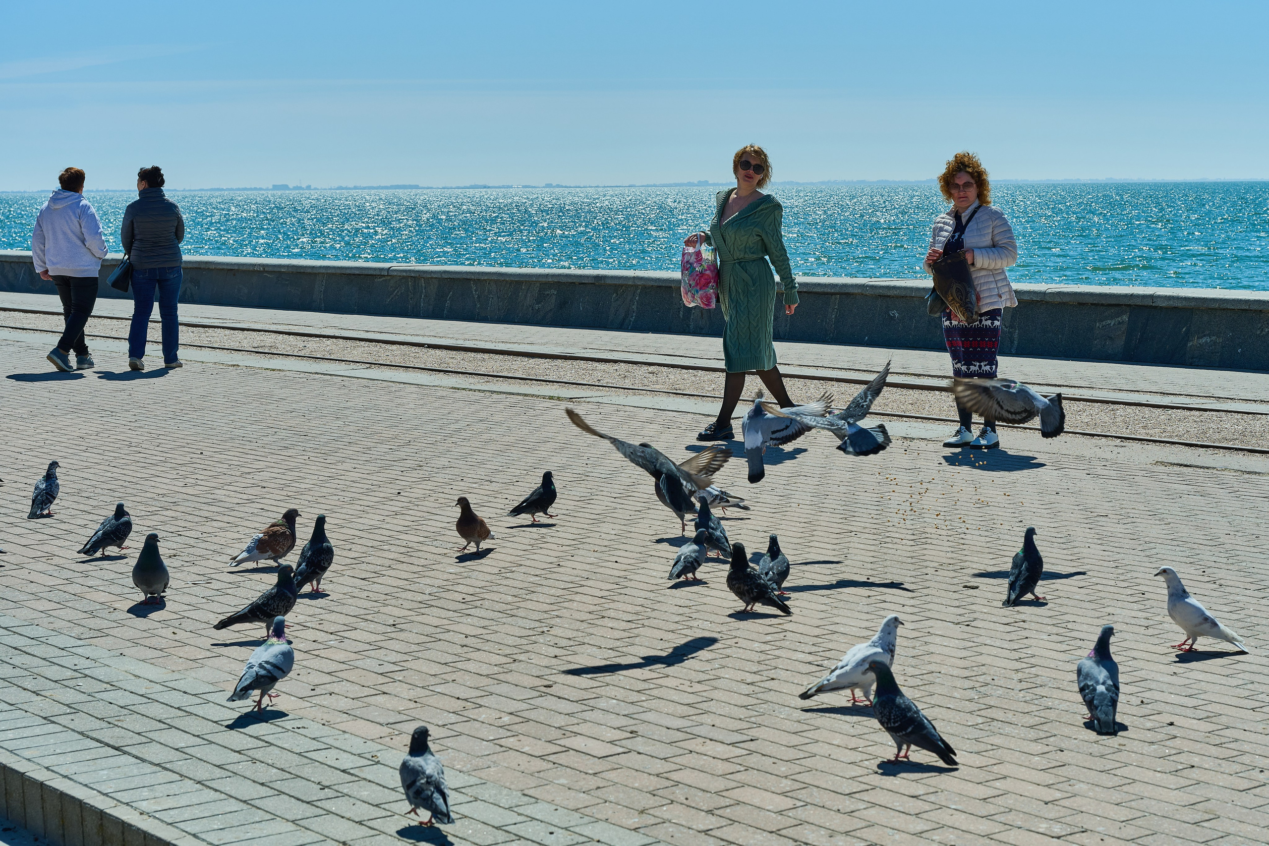 Бердянск. Фотопроект «Территории»