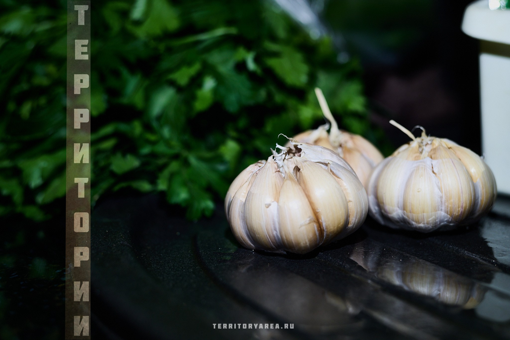 Открытки фотопроекта «Территории». Фотопроект «Территории»