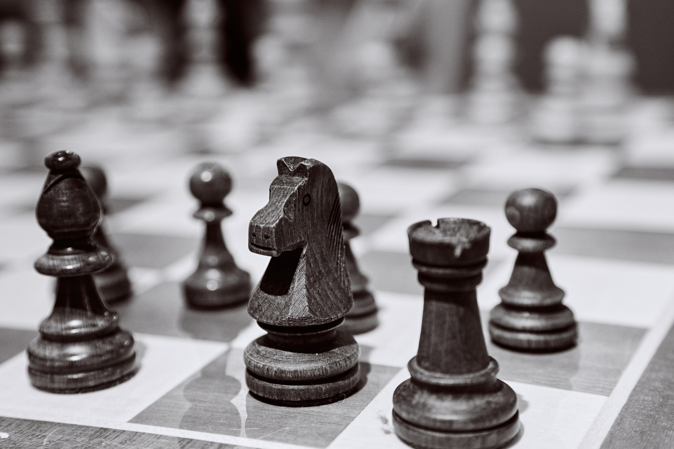 Chess tournament. Фотограф Махлаева Виктория/Санкт-Петербург