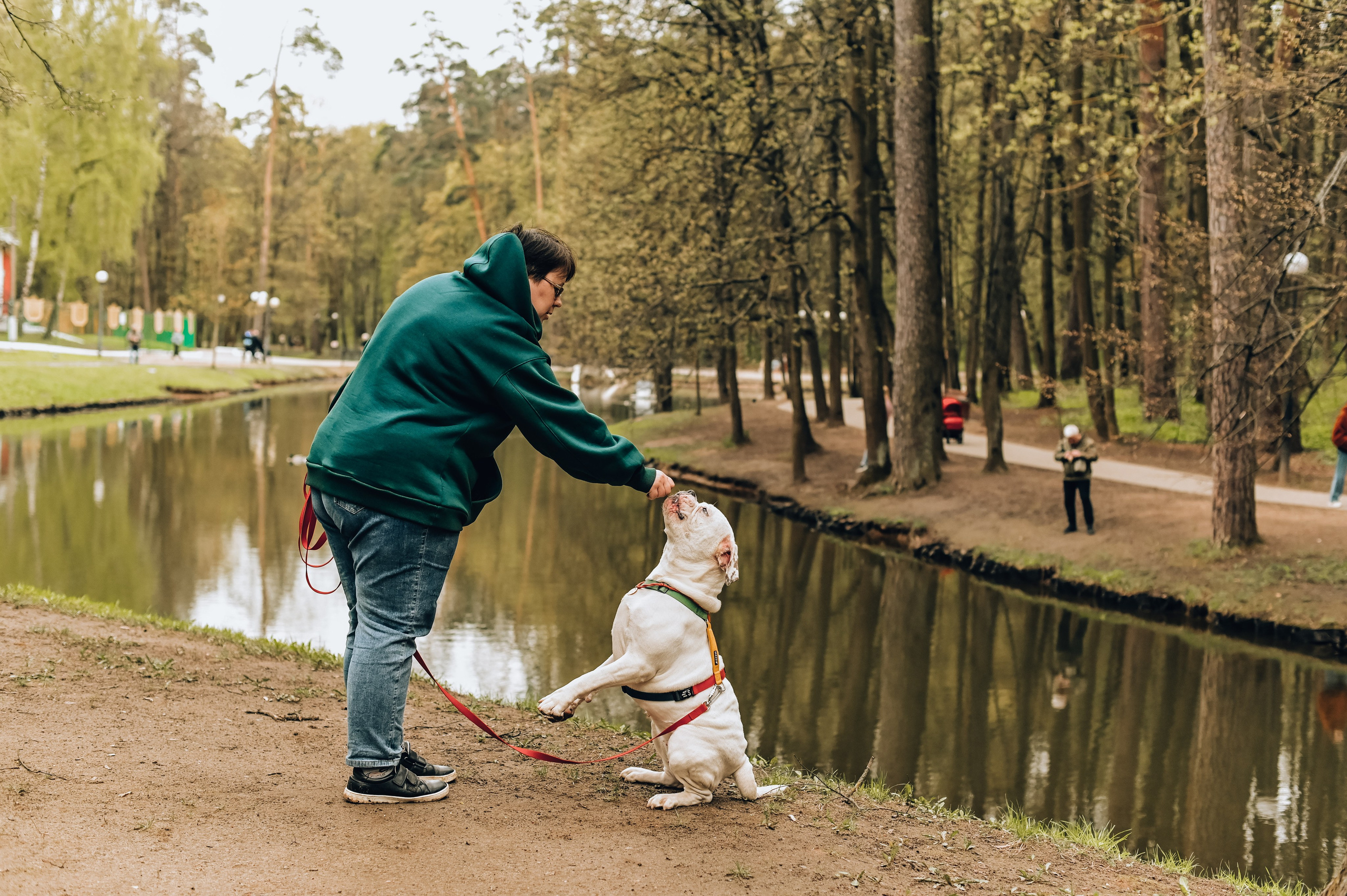 Занятие с кинологом. Семейный и репортажный фотограф в Москве Анастасия Трубкина