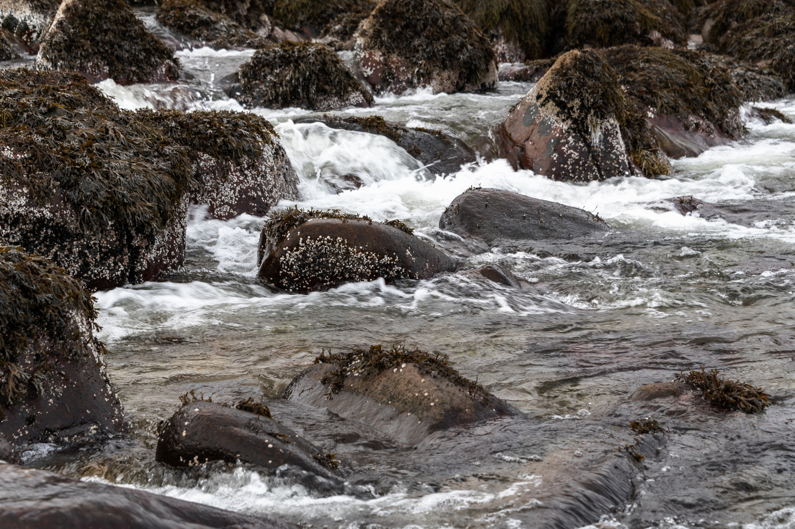 Териберка. Ноябрь 2023. Фотограф Роман Адлер