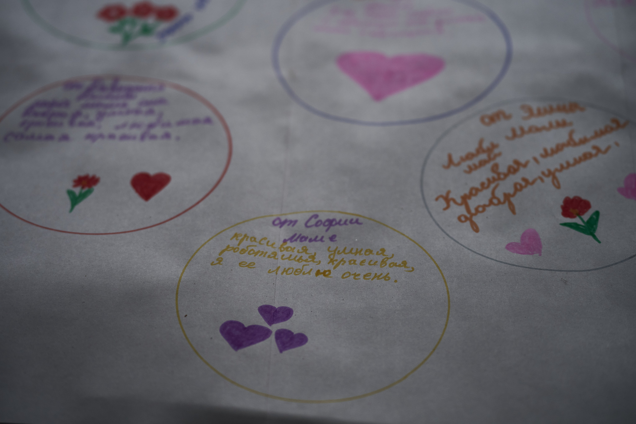 Краснореченское (Луганская область). Ноябрь 2024. Фотограф Роман Адлер