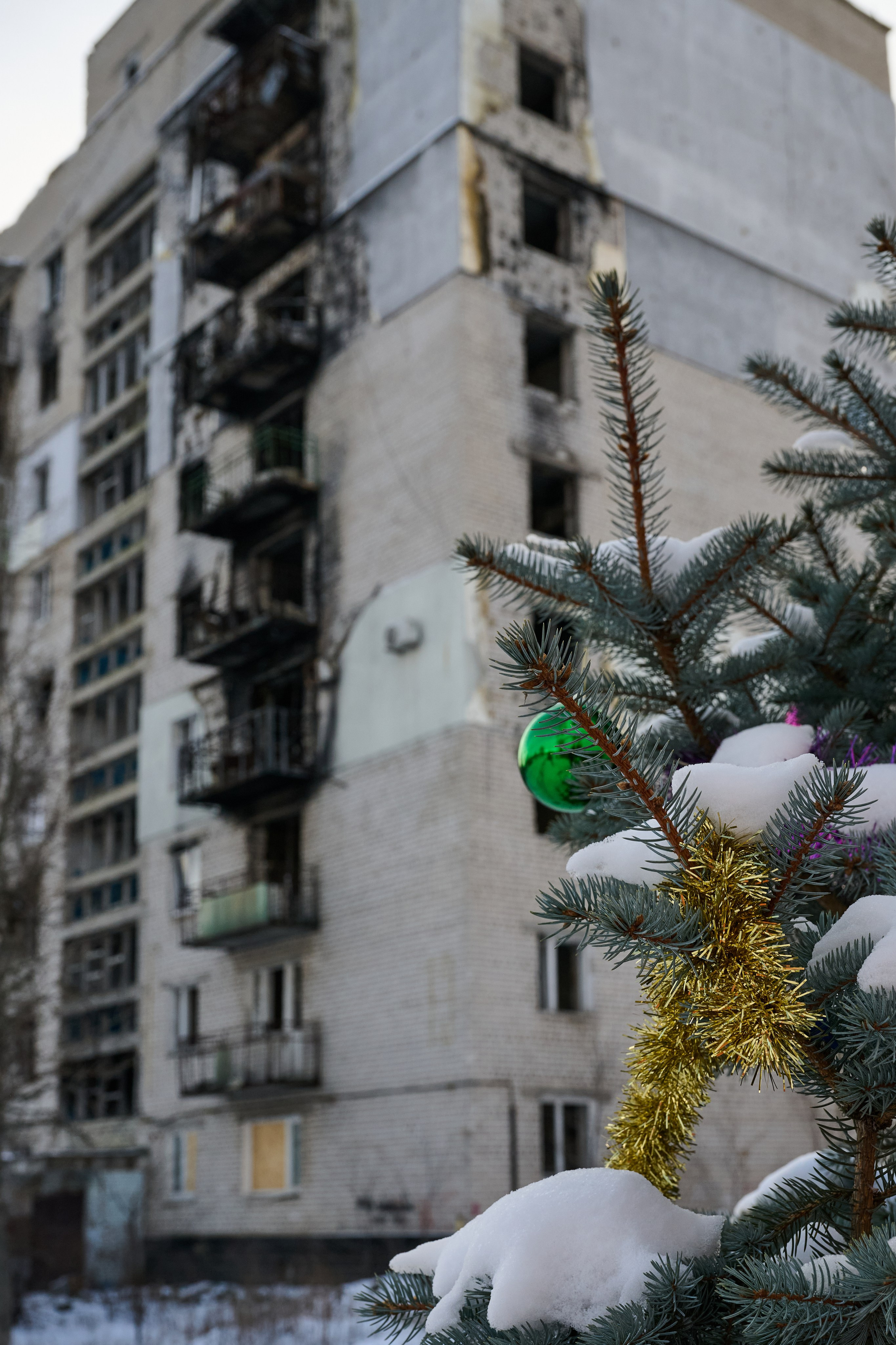 Рубежное. Январь 2026. Фотограф Роман Адлер