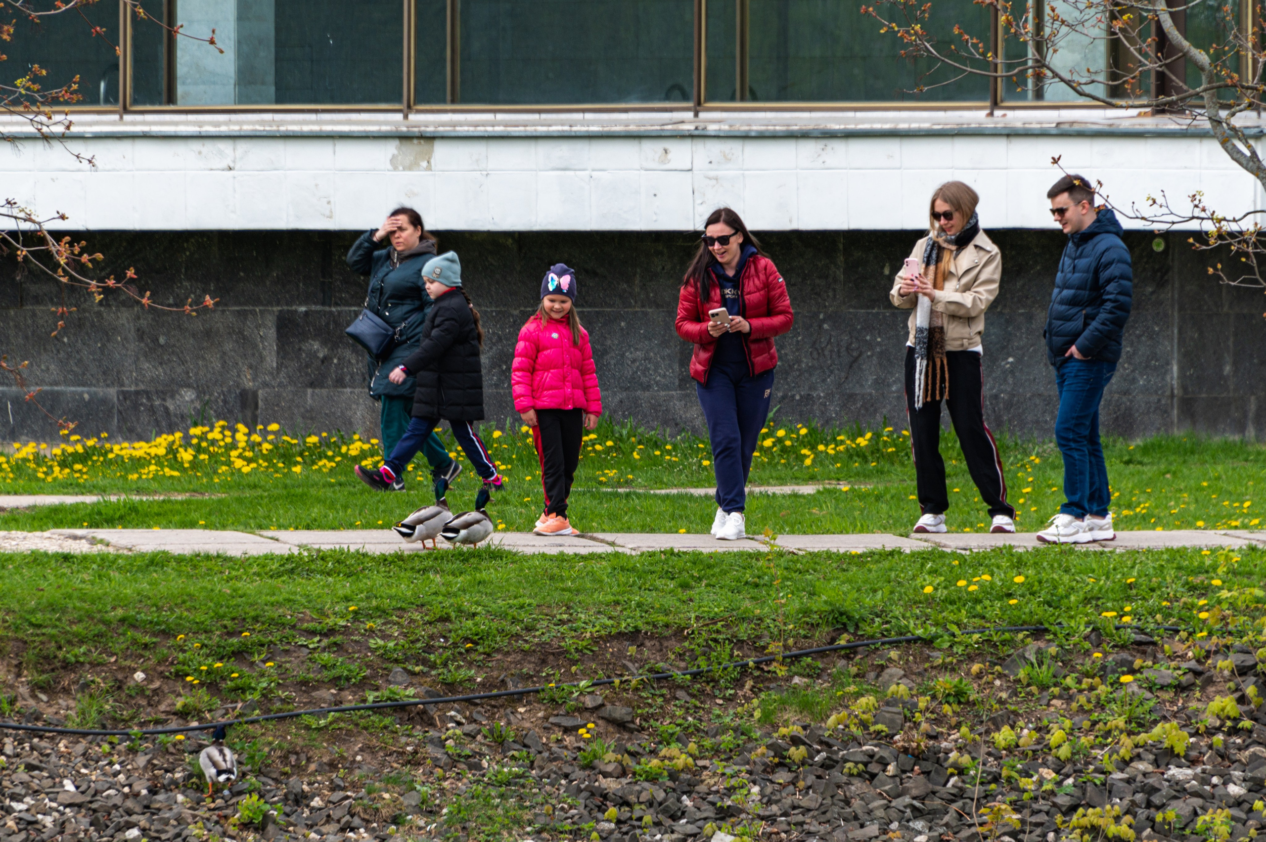 Суздаль. Май 2023. Фотограф Роман Адлер