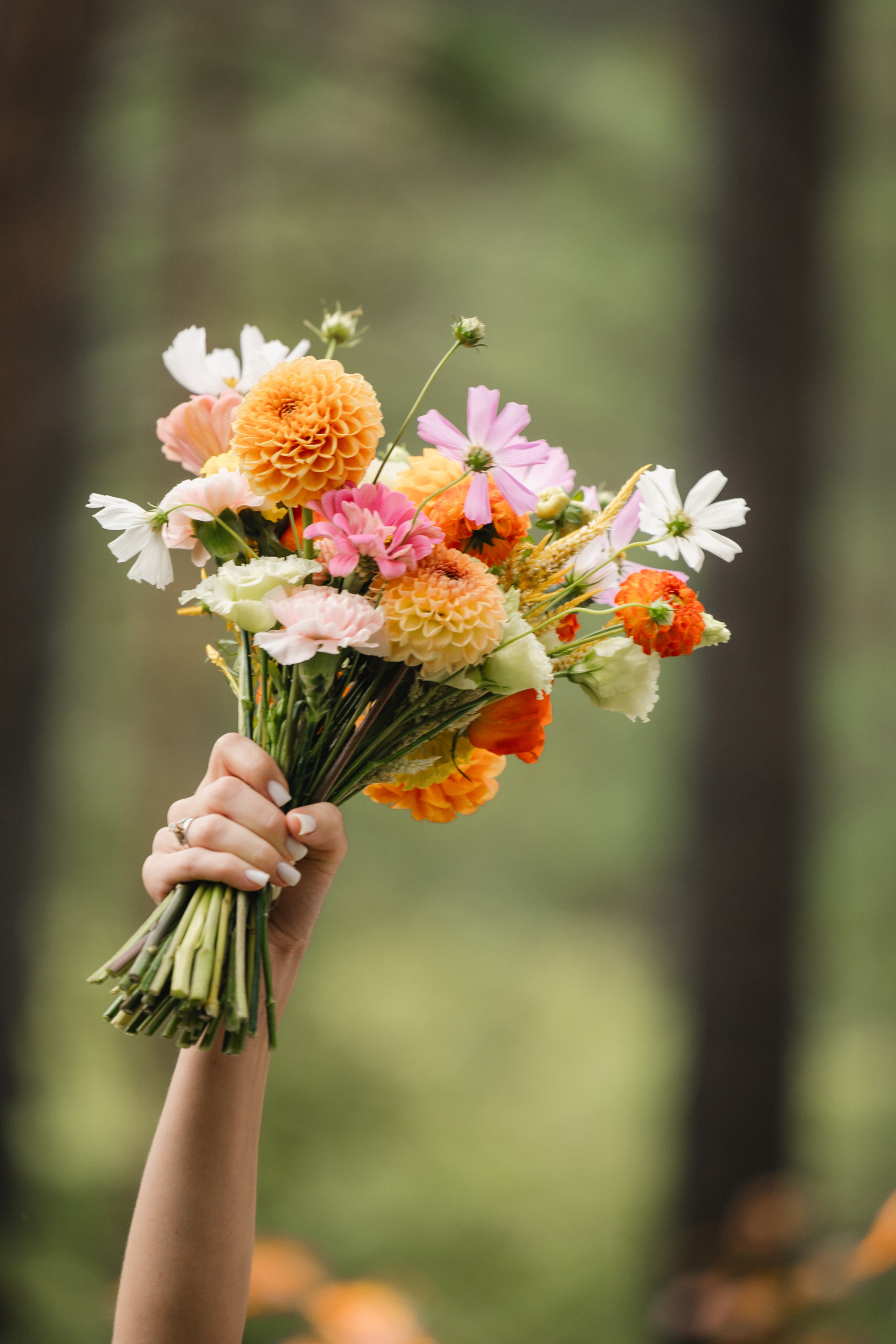 Данил и Даша. Организатор Романова Любовь