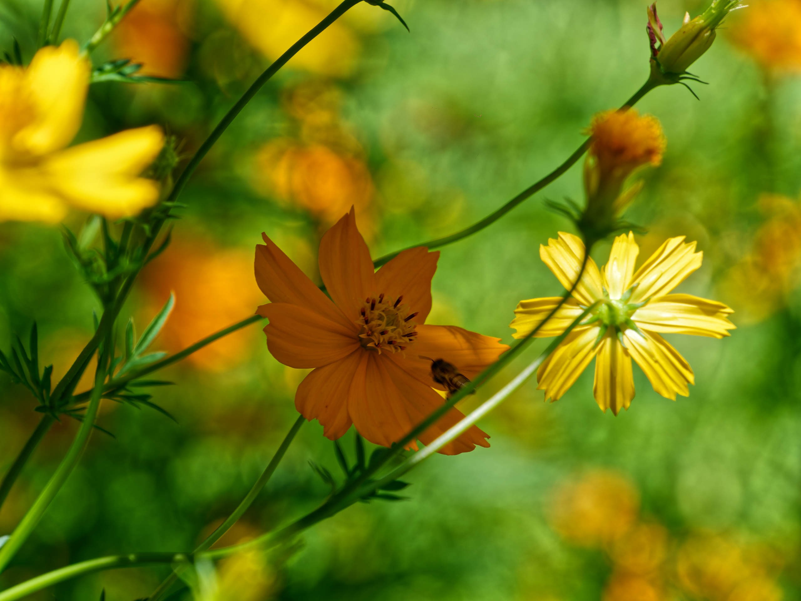 Нячанг 2023. Избранные фотографии