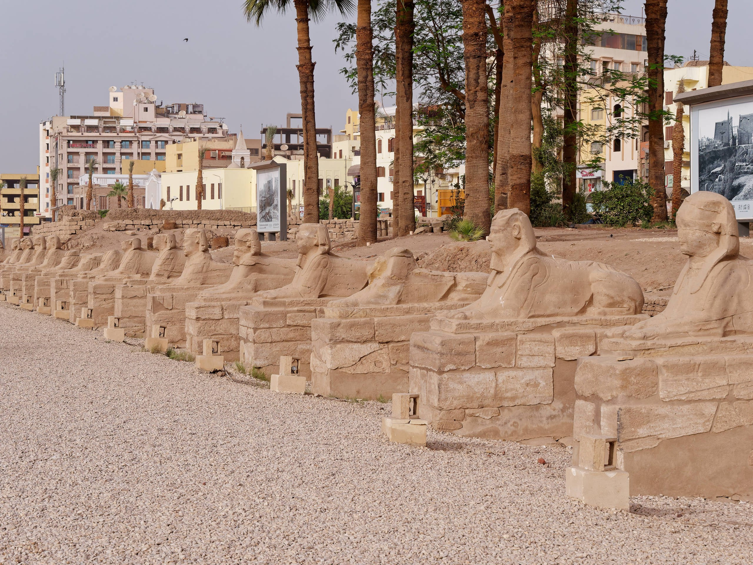 Луксор 2022, Луксорский храм. Избранные фотографии