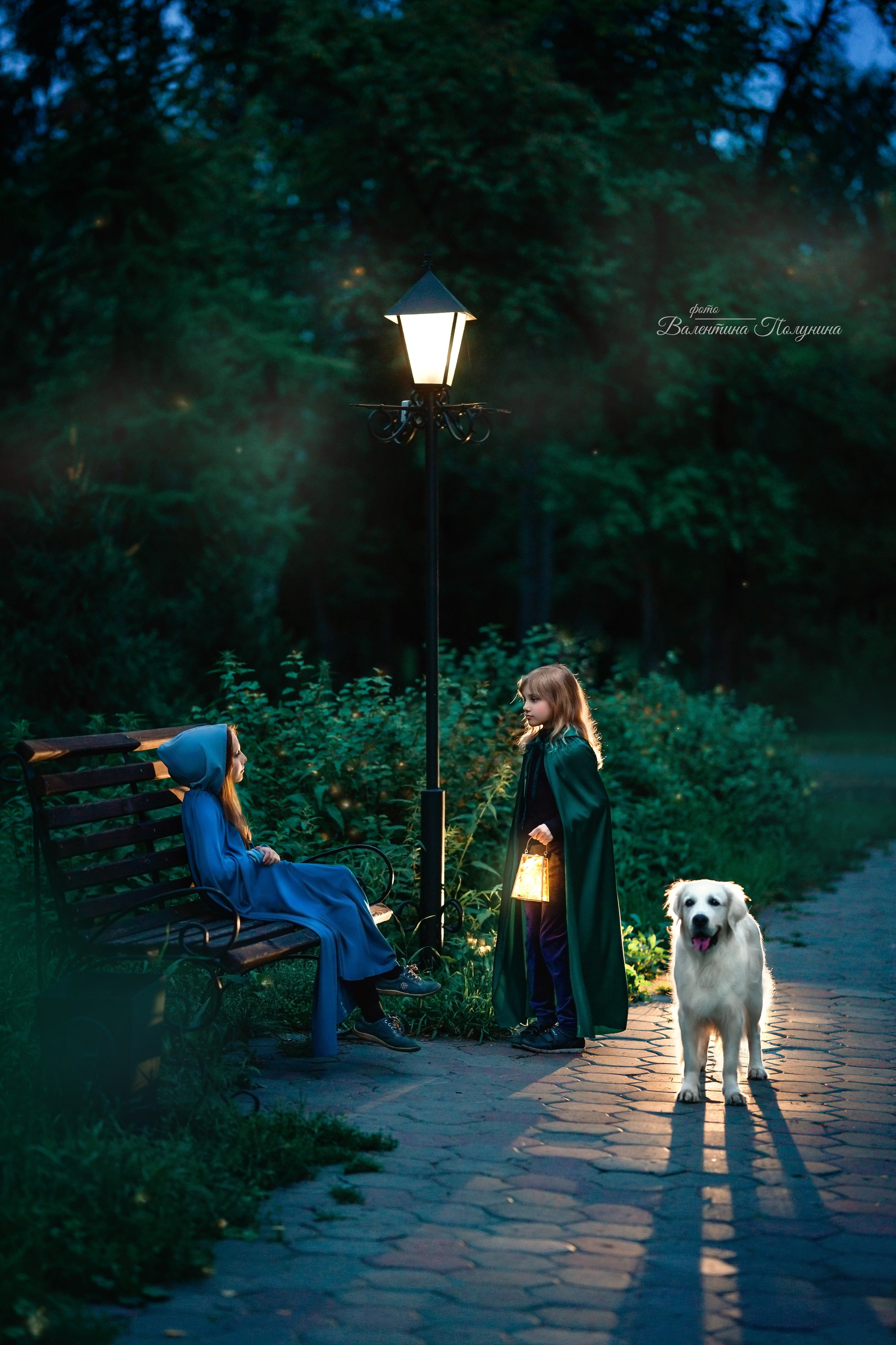 Волшебные звёзды. Фотограф Валентина Полунина