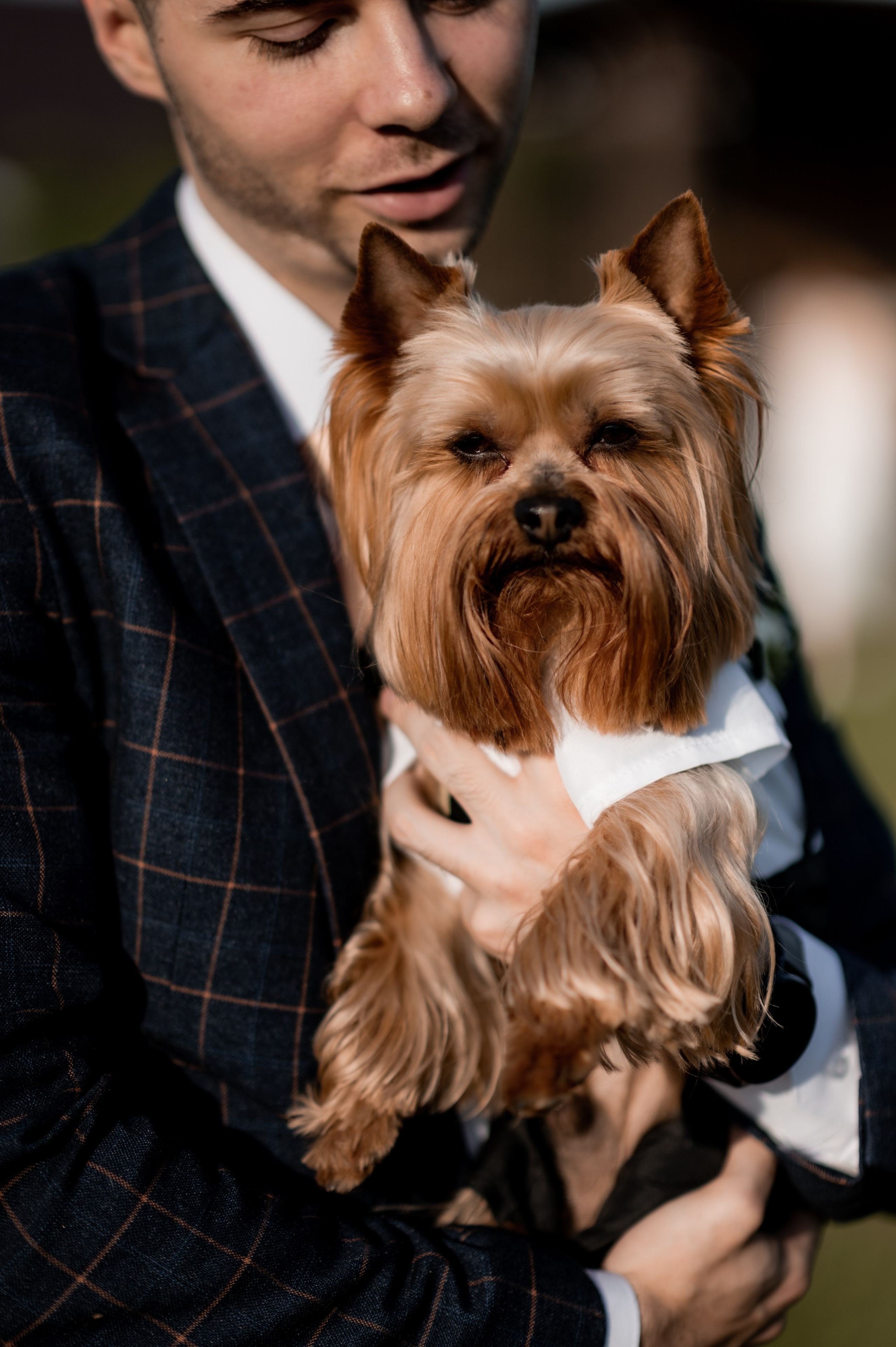 2024. Дима и Маша. Свадебный и семейный фотограф в Москве и Европе Евгения Амелина