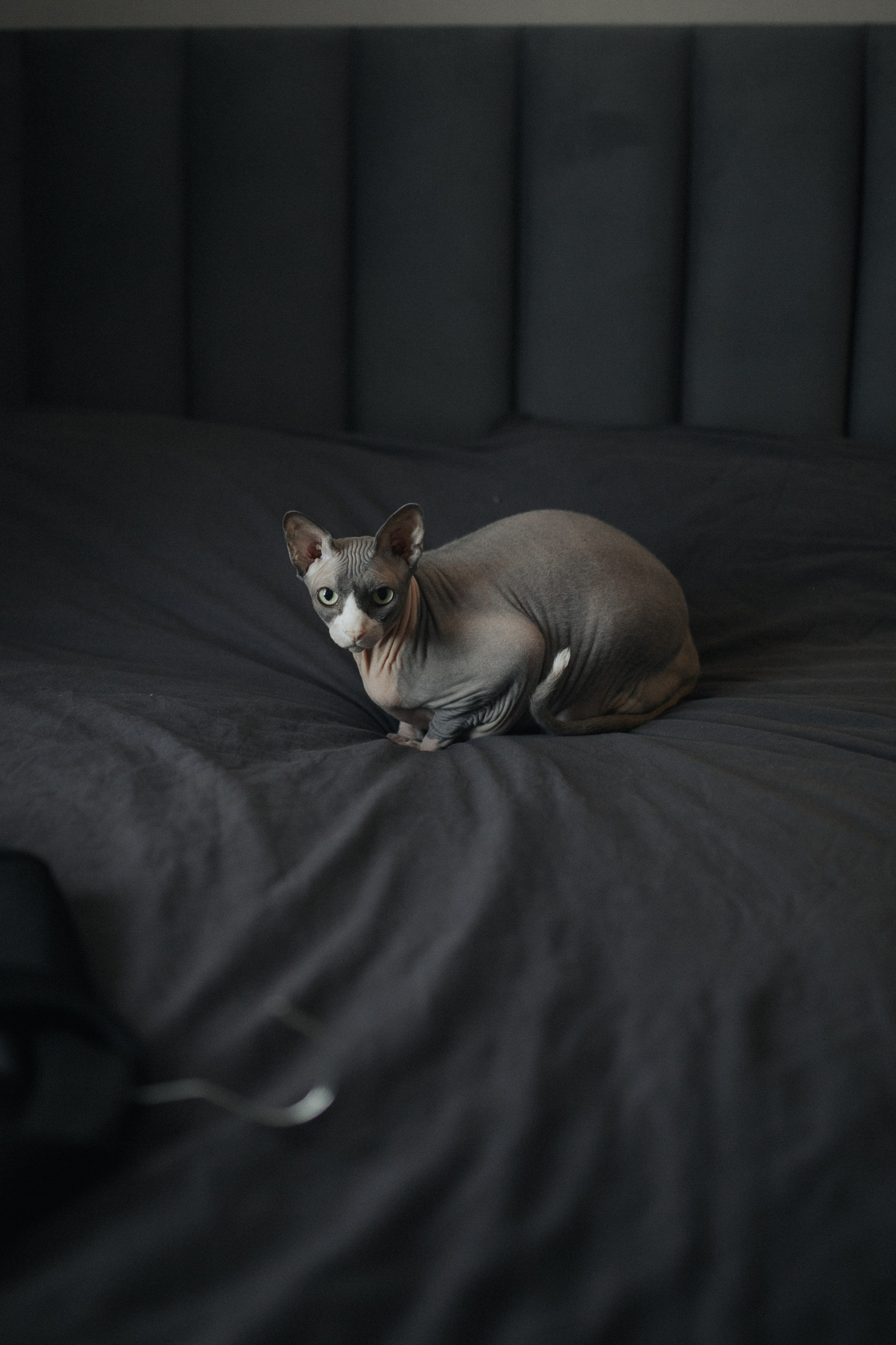 Карина и Рома. 25.07.2025. Алина Каравайцева. Фотограф в городе Барнаул