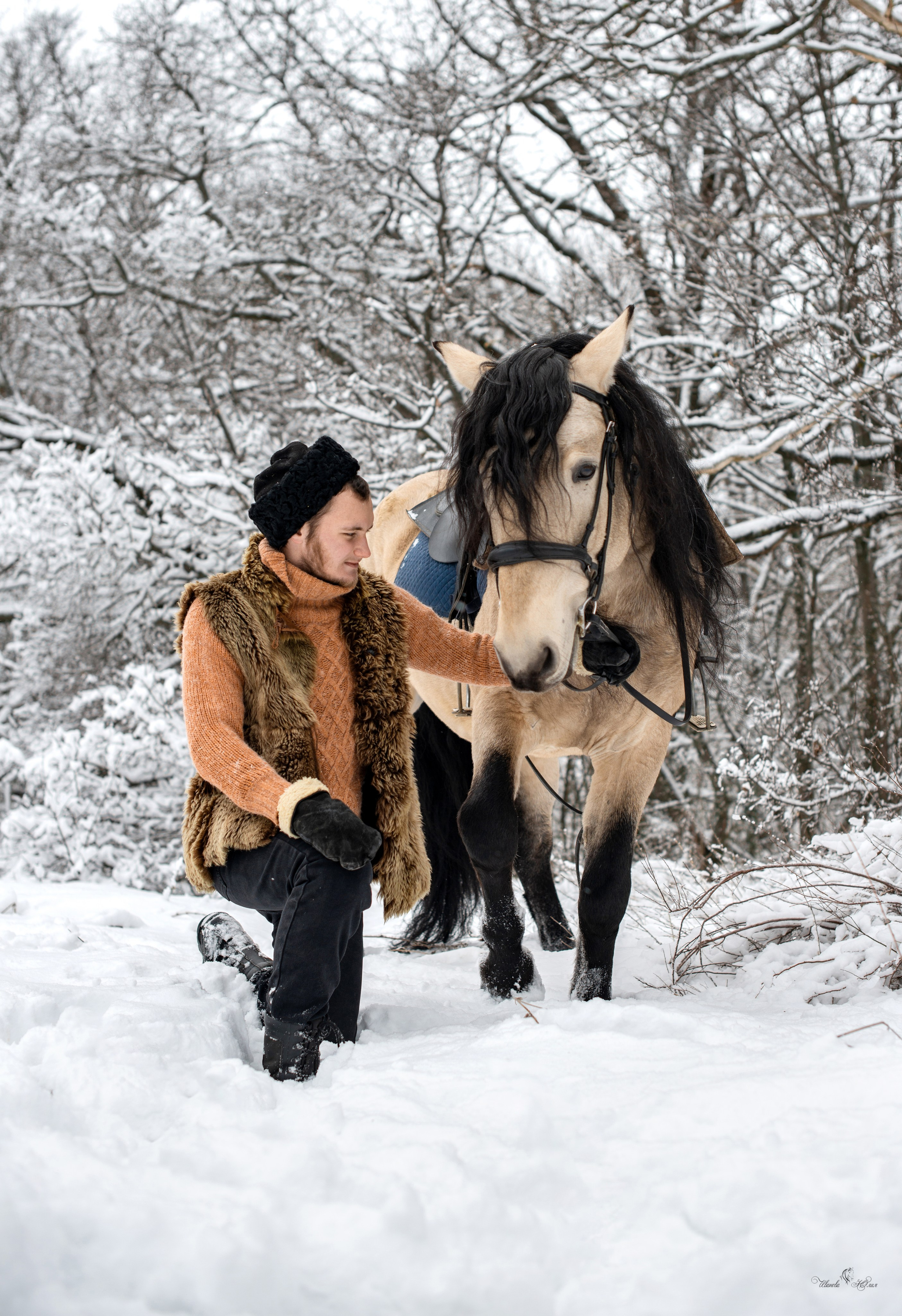 Геннадий и Тэзей. Конный фотограф в Саратове Юлия Иванова