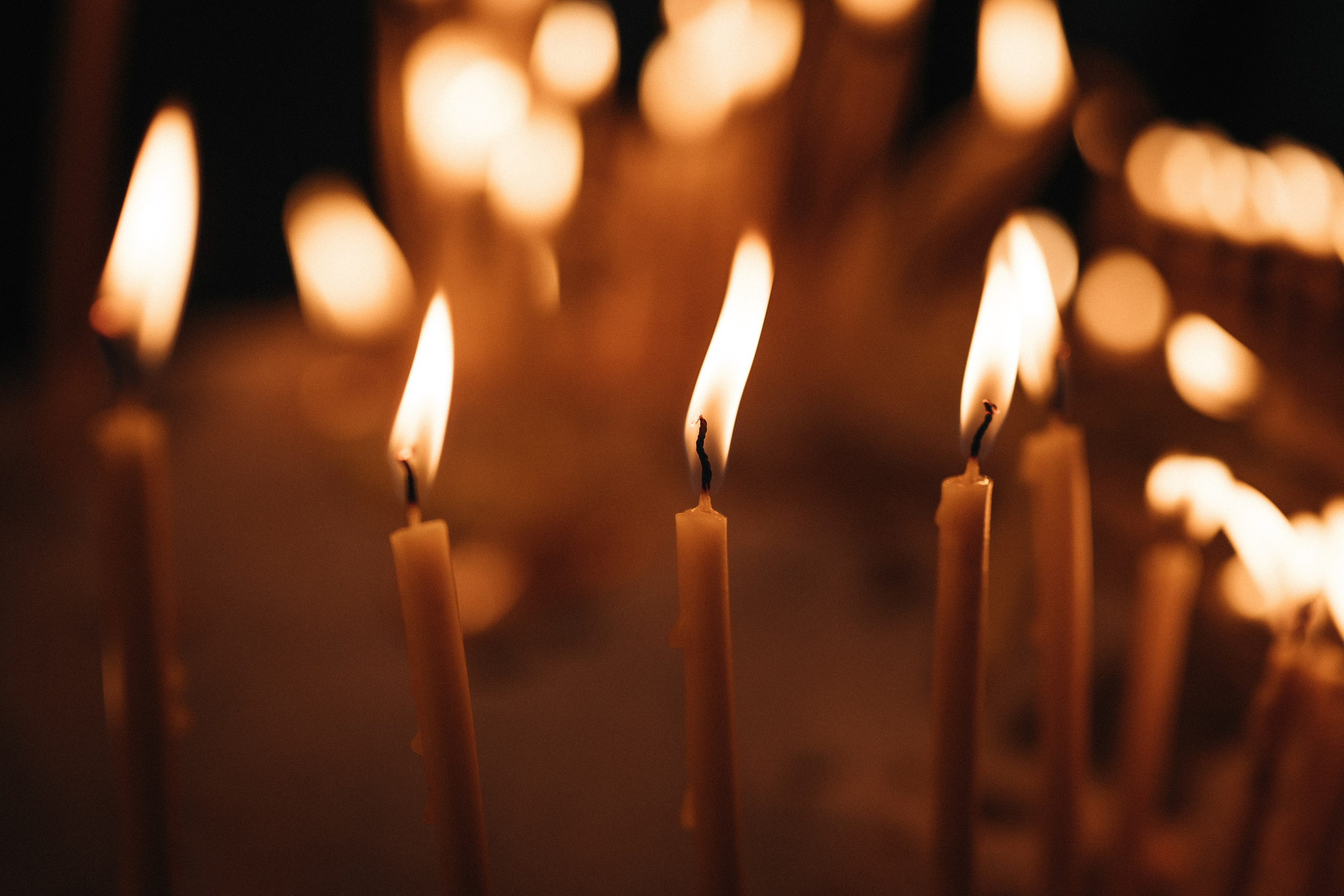 Борик & Анжела. Фотограф в Краснодарском крае Александр Шульга