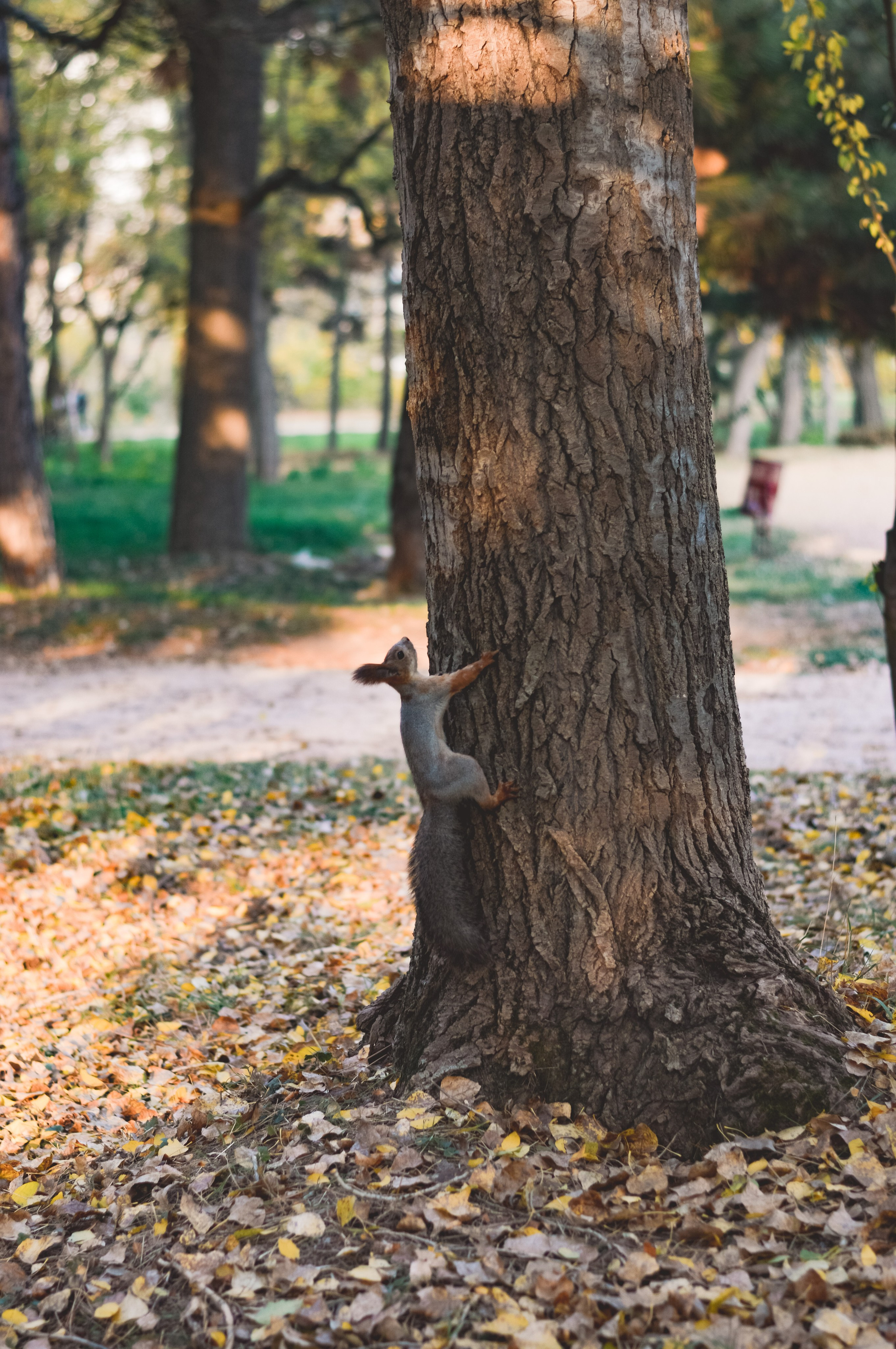 Индивидуальные съемки. Фотограф Пушкарская Татьяна