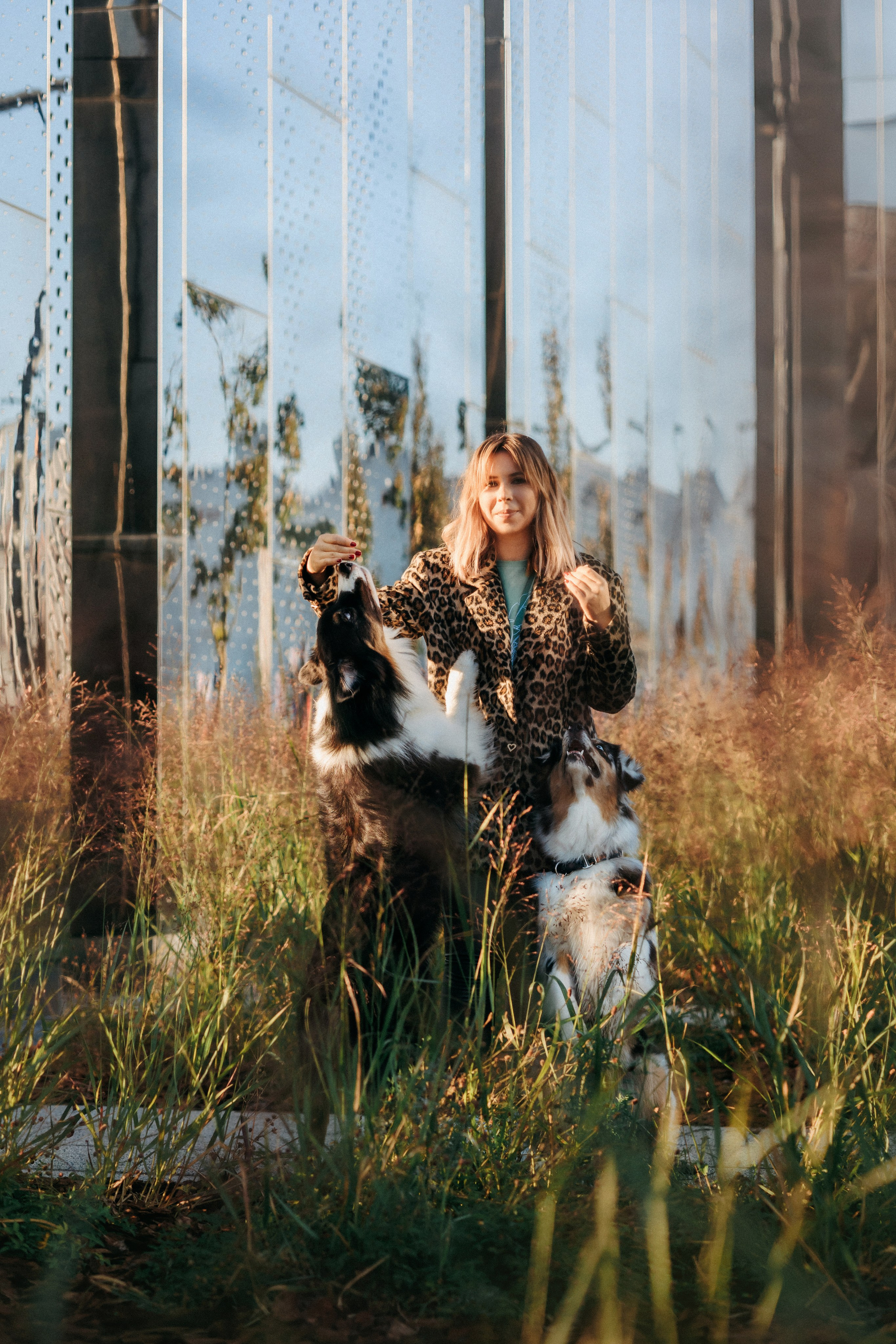 Аня, Чарли и Ева. Фотограф-анималист Елена Радченко, Москва
