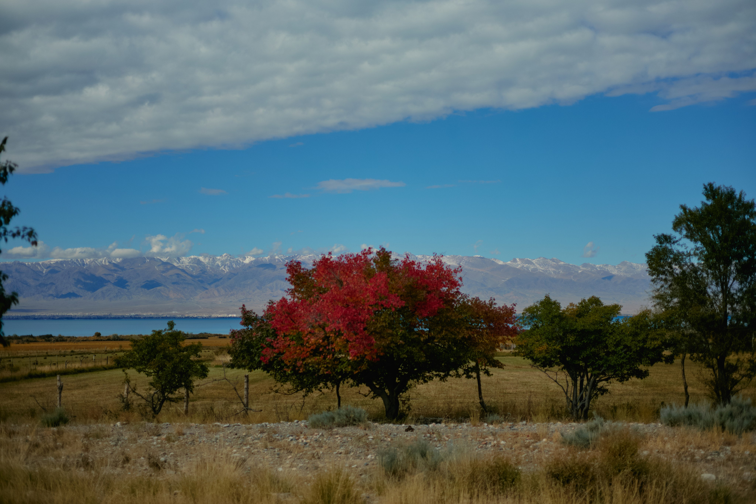 Кыргызтан. Профессиональный Фотограф во Владимире, в Москве и в Суздале — Полина Романычева