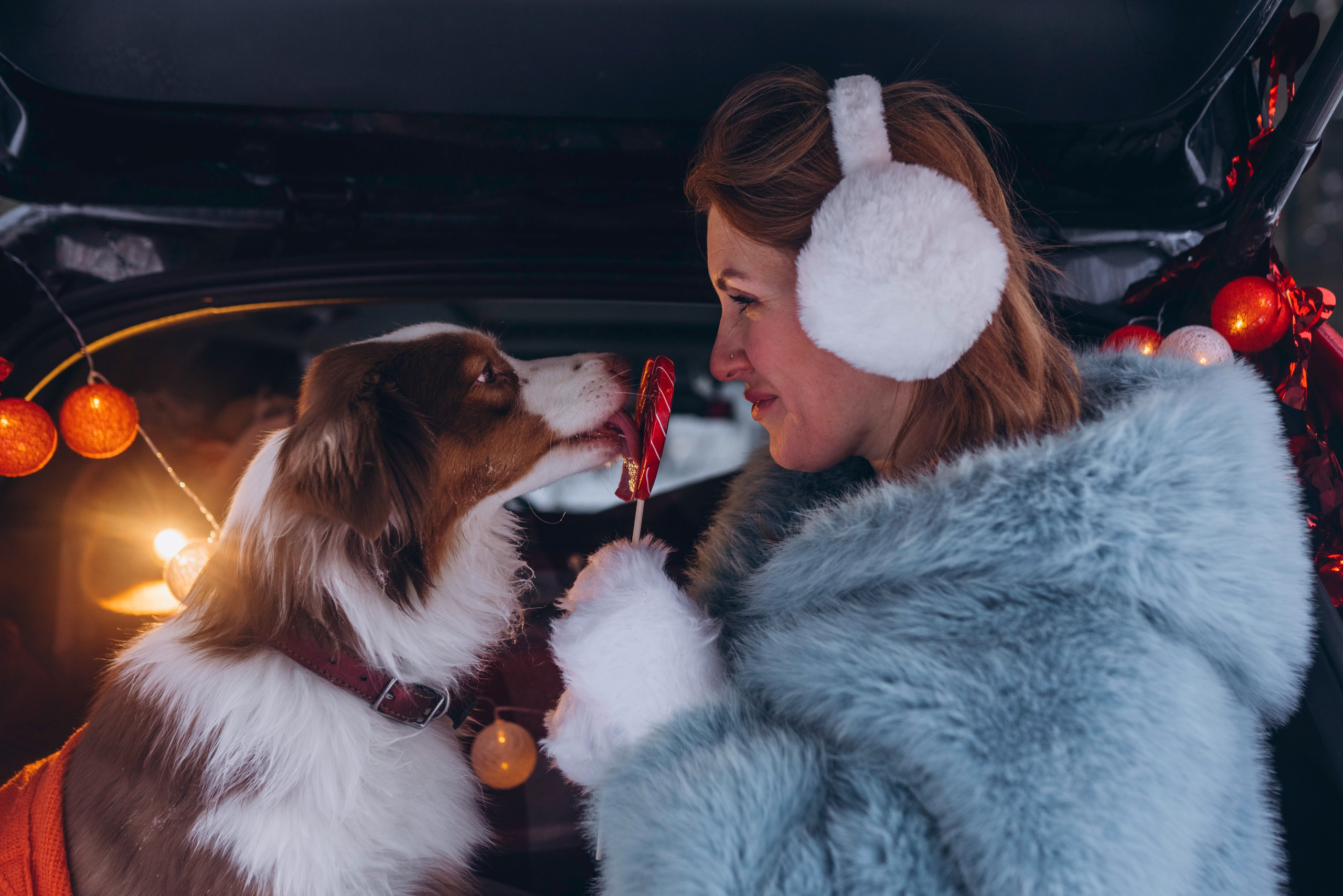 Фотодень Святого Валентина. Фотограф анималист в Спб недорого Олеся Майорова