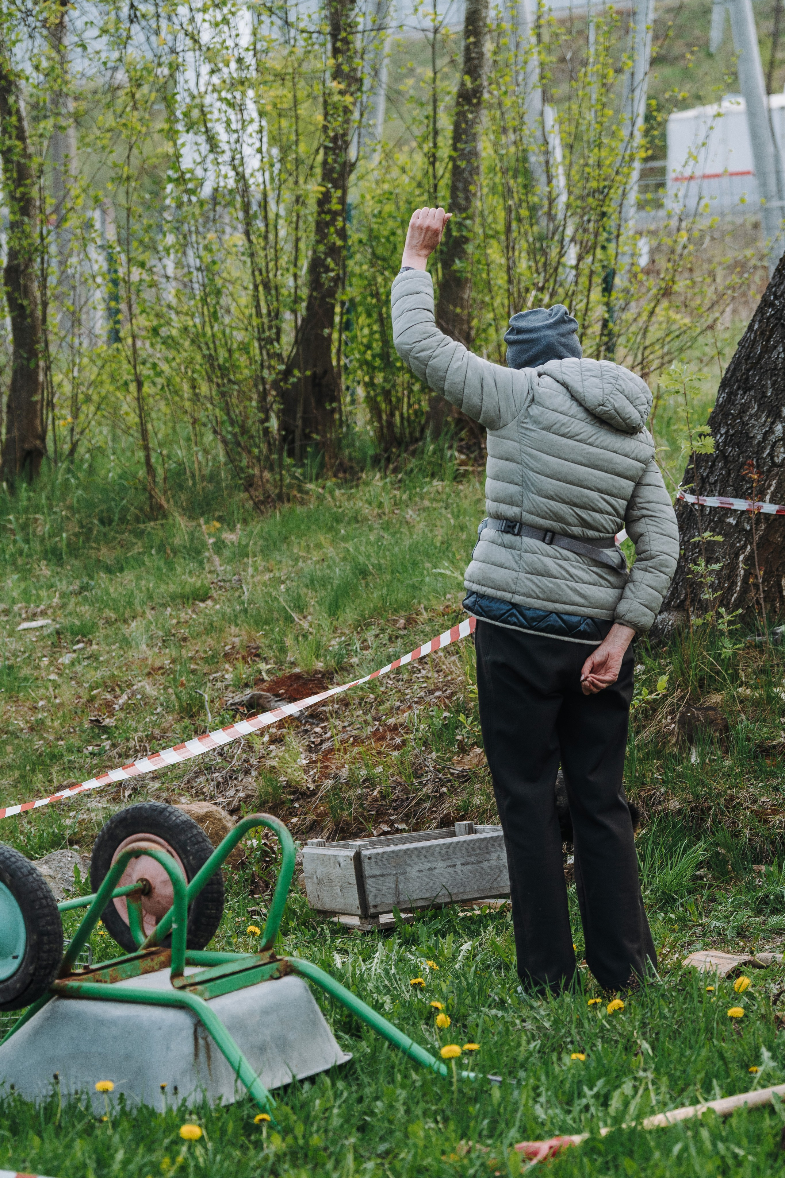 Соревнования по ноузворку в Лосево. Фотограф анималист в Спб недорого Олеся Майорова
