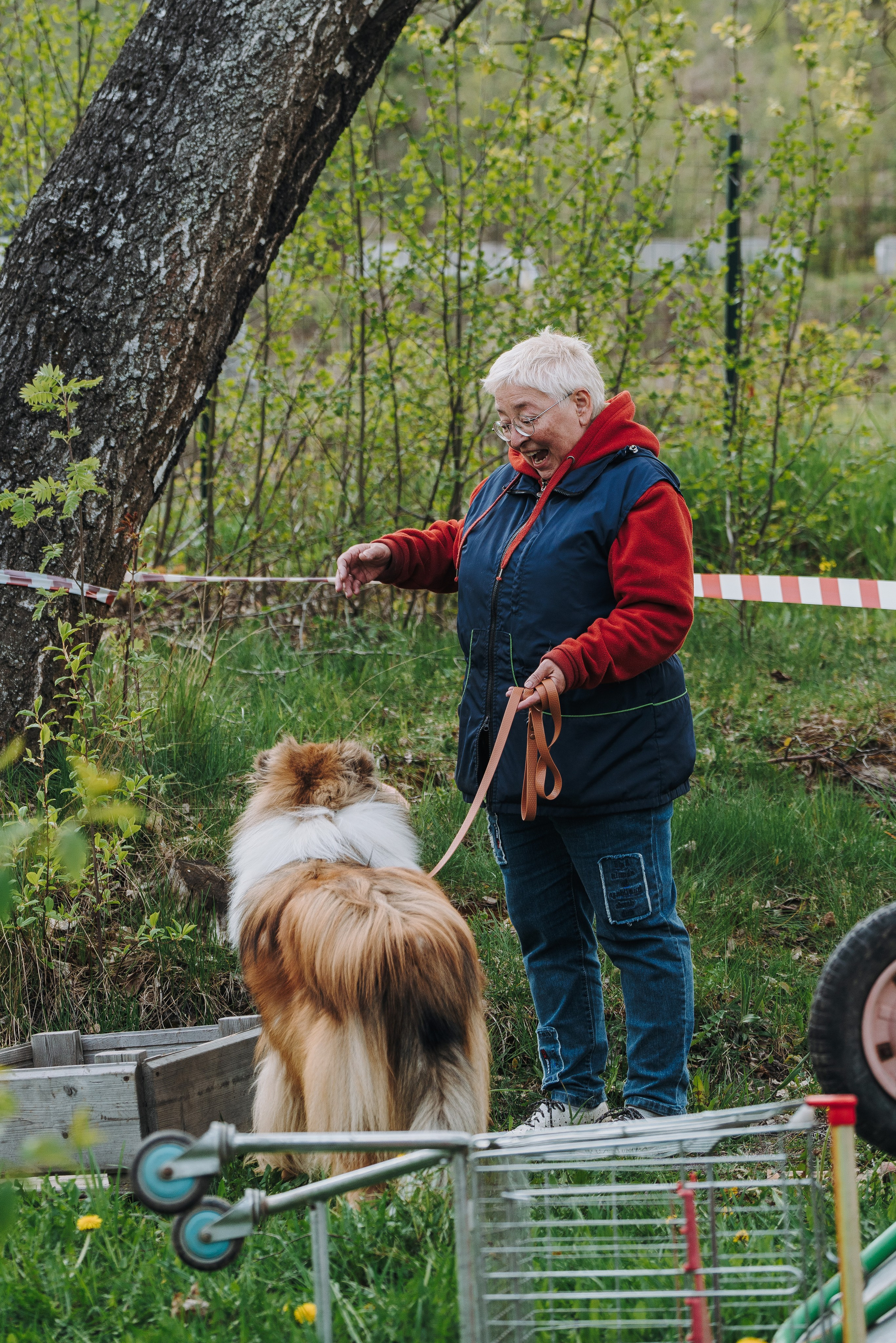 Соревнования по ноузворку в Лосево. Фотограф анималист в Спб недорого Олеся Майорова