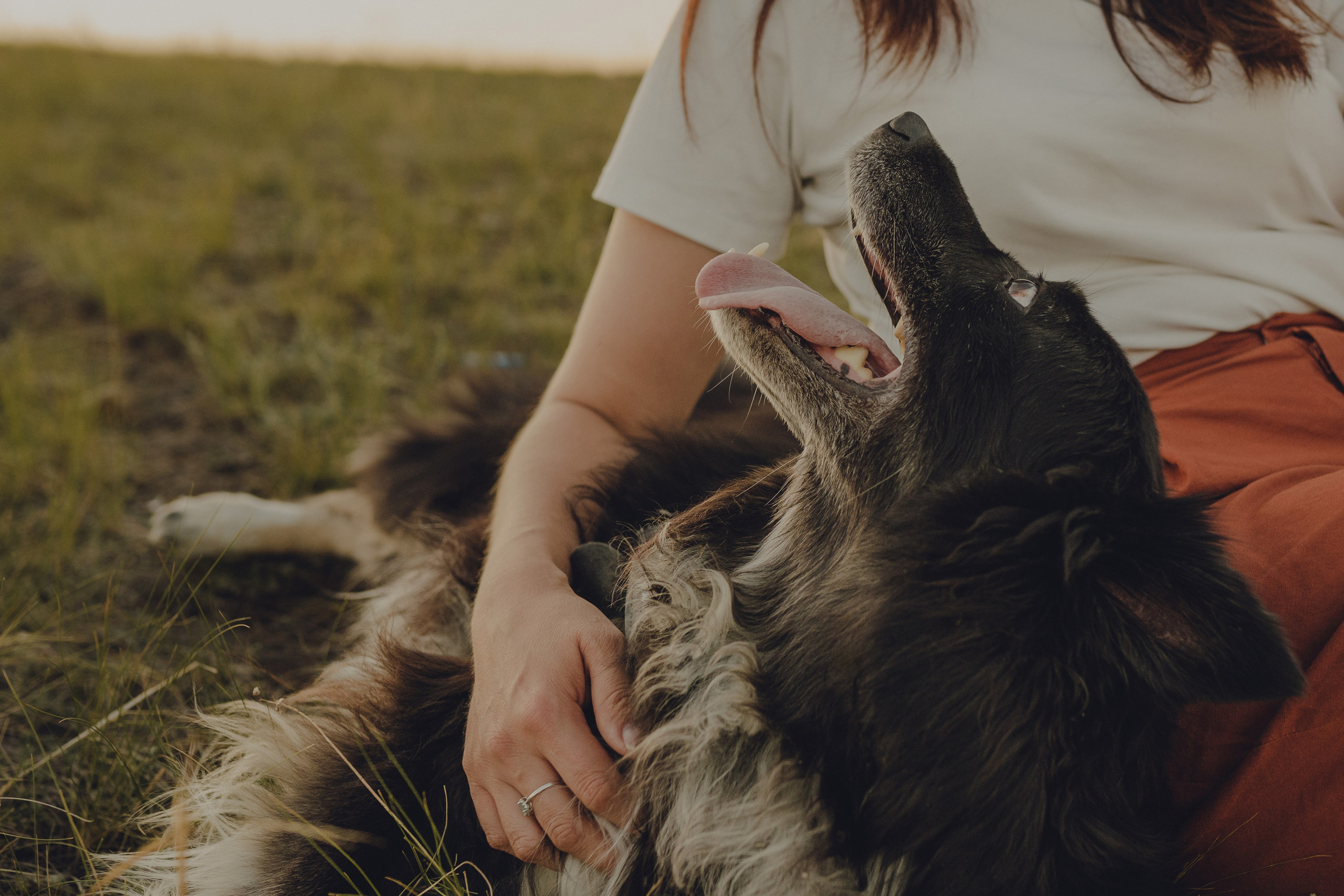 Настя и Умка. Фотограф анималист в Спб недорого Олеся Майорова