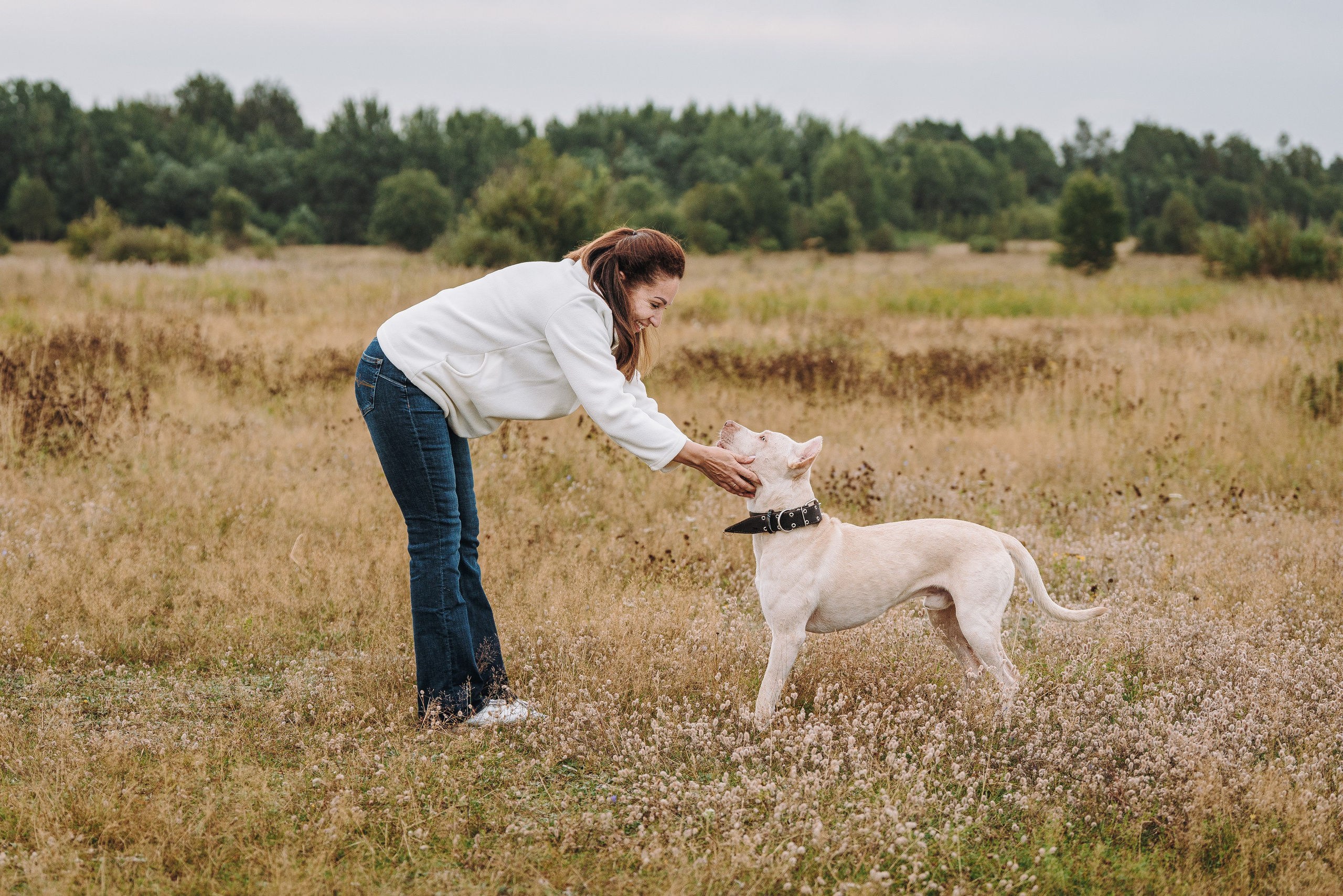 Оля и Гламур. Фотограф анималист в Спб недорого Олеся Майорова