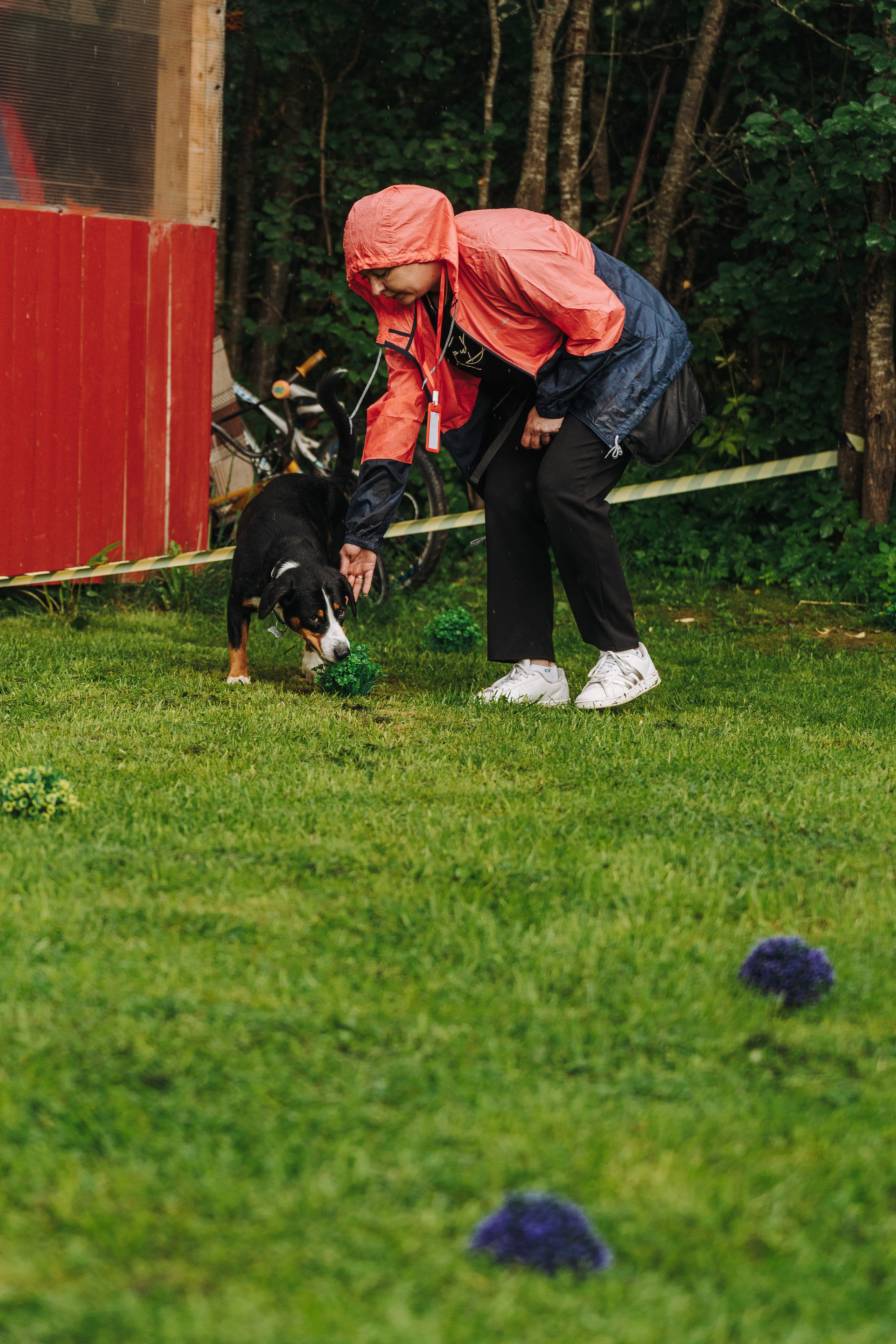 Соревнования по ноузворку в Новожилово. Фотограф анималист в Спб недорого Олеся Майорова